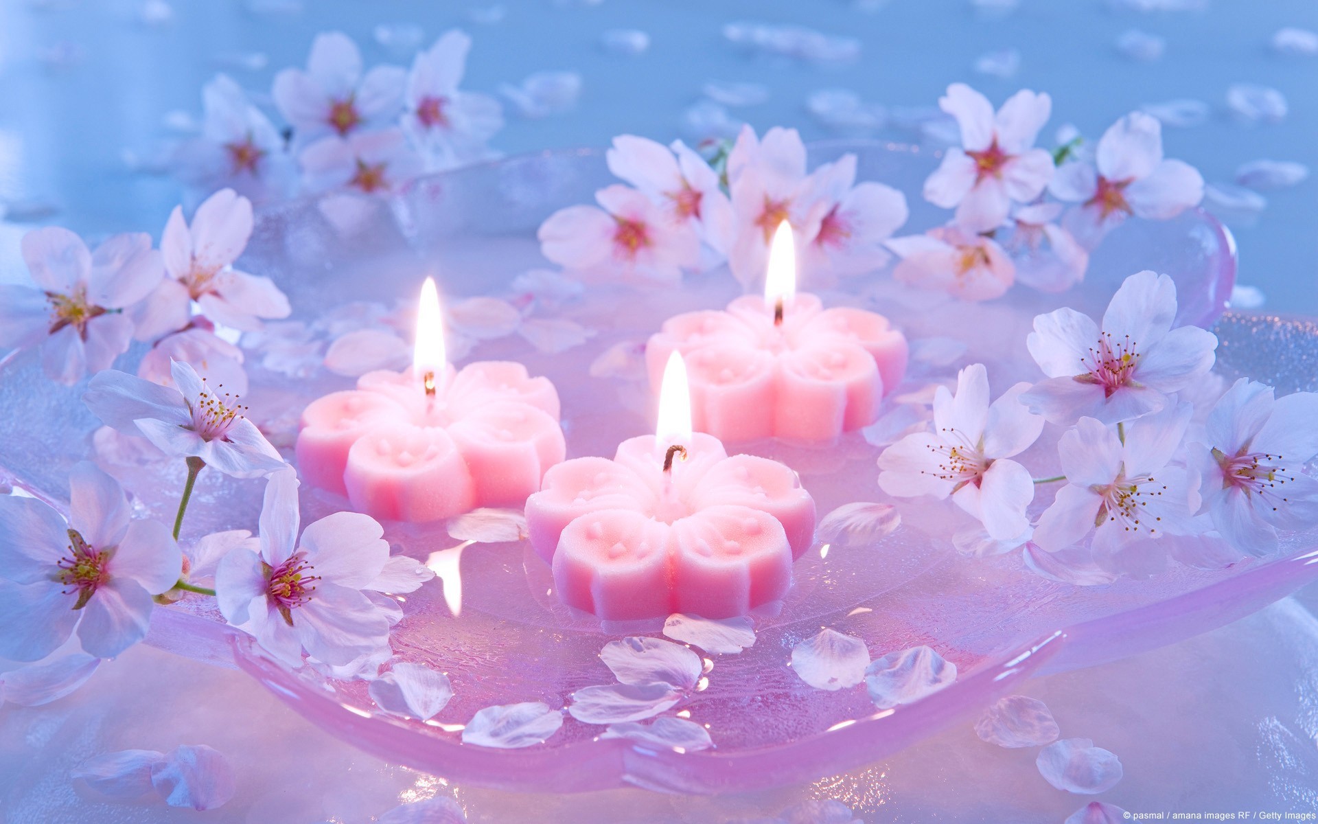 1920x1200 Burning candles among the flowers