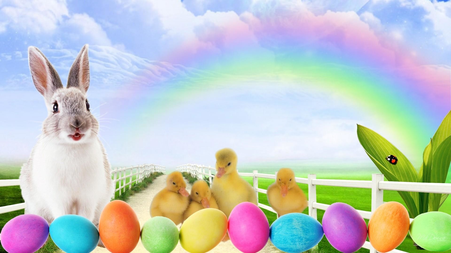 1920x1080 easter bunny pictures chick