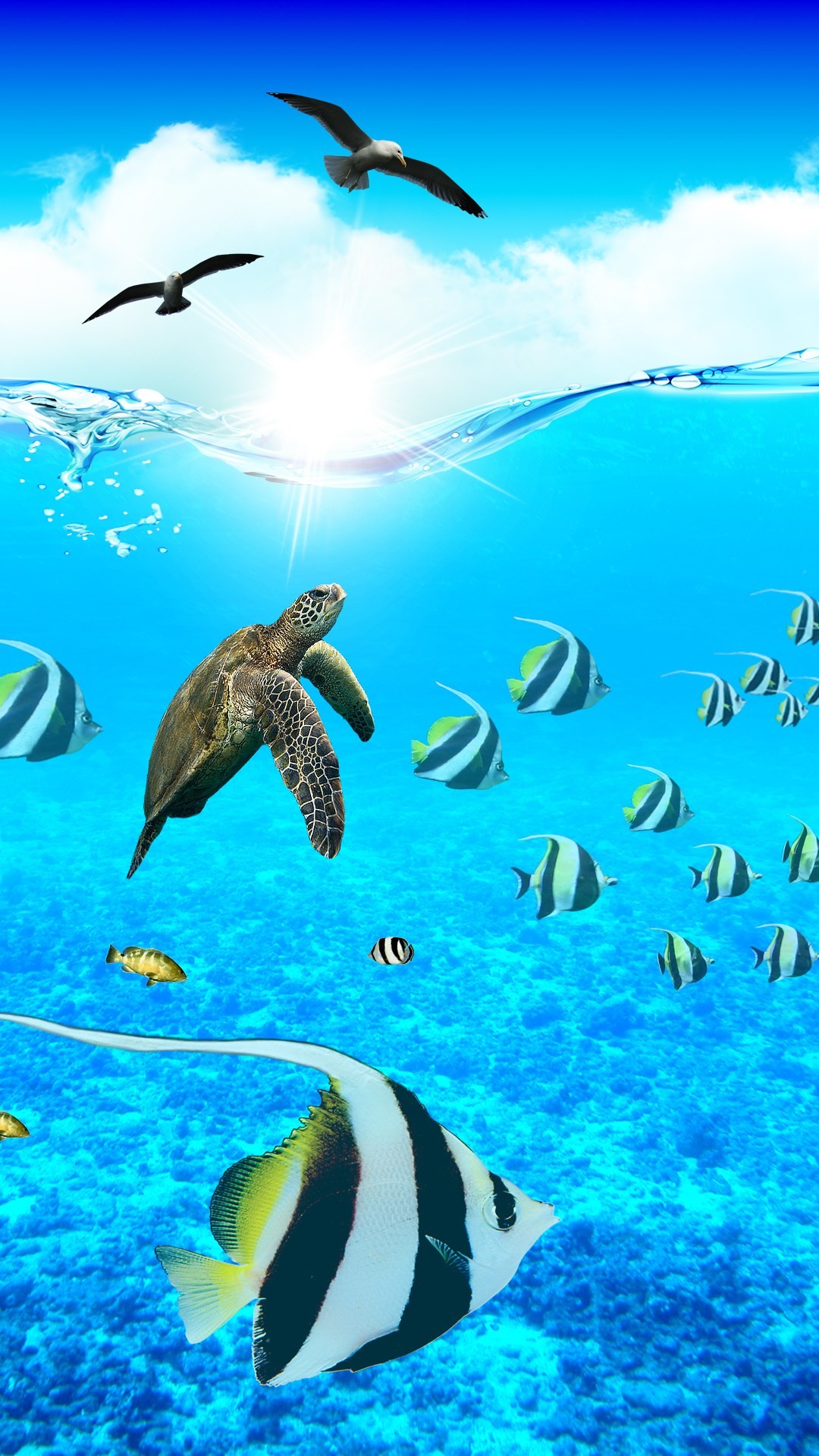 1080x1920 Ocean Aquarium. Paradise iPhone Wallpapers - mobile9 #underwater #animals # sea