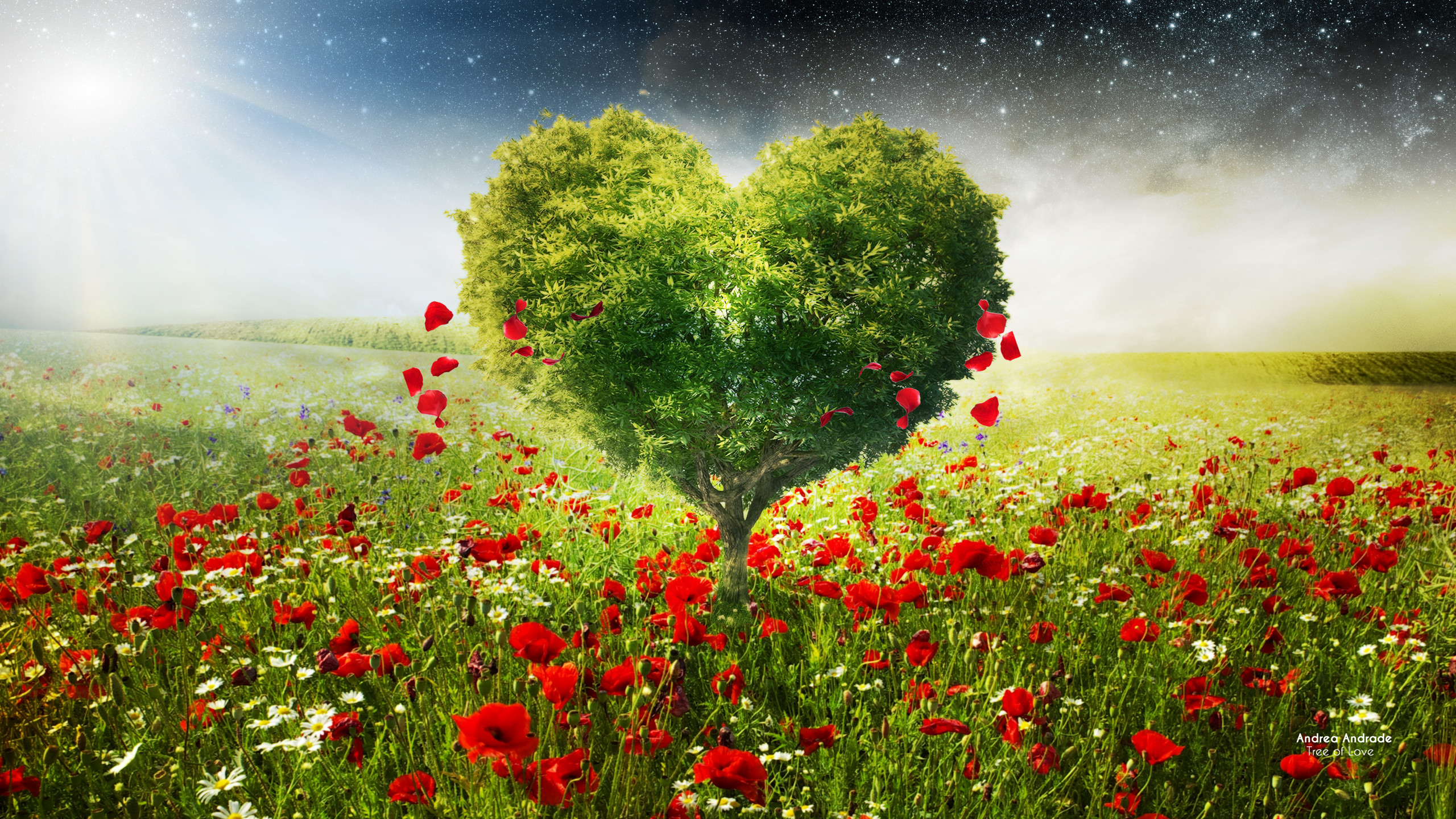 2560x1440 Green Love Heart Tree Poppies
