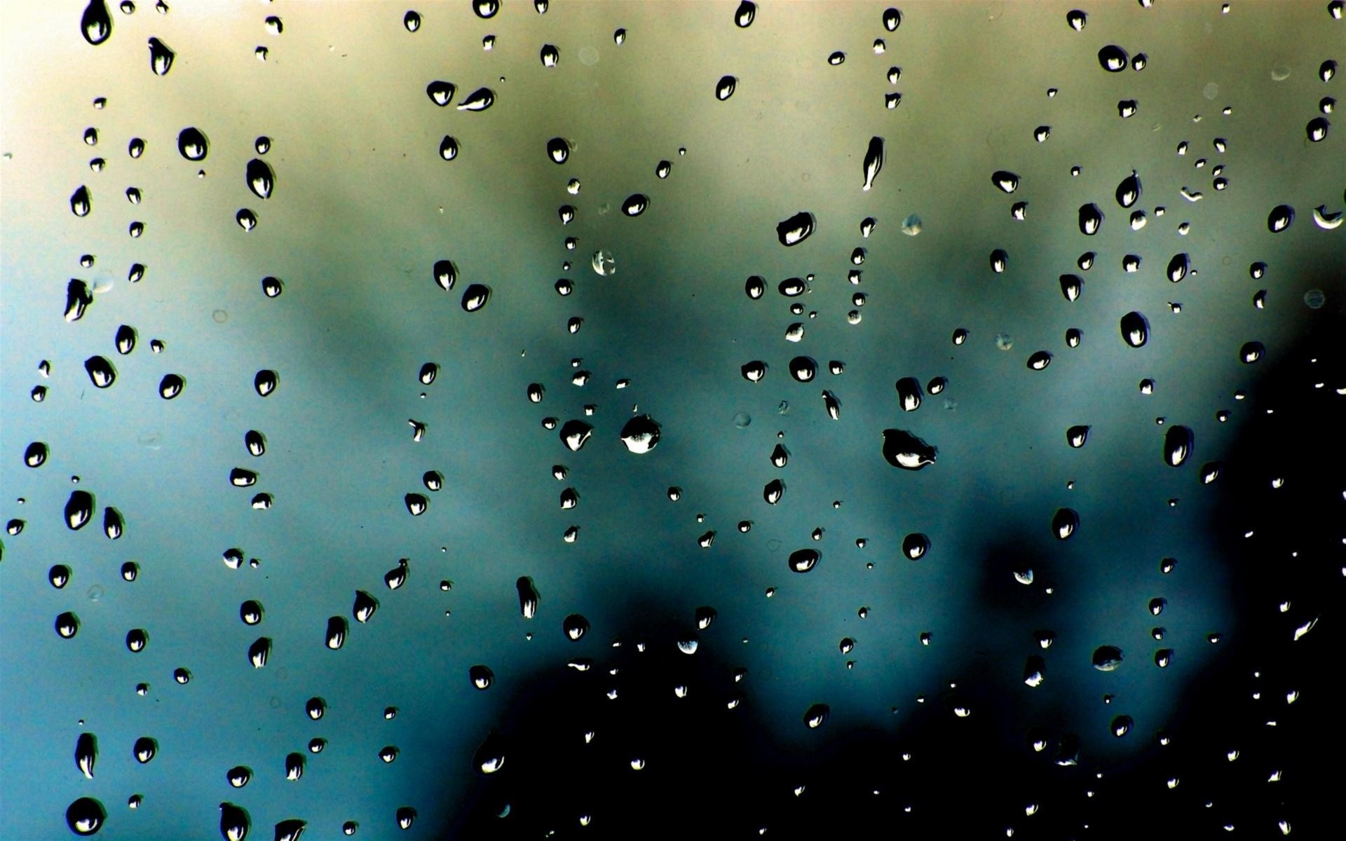 1920x1200 Nature Rain Condensation Rain Wallpaper  340x220