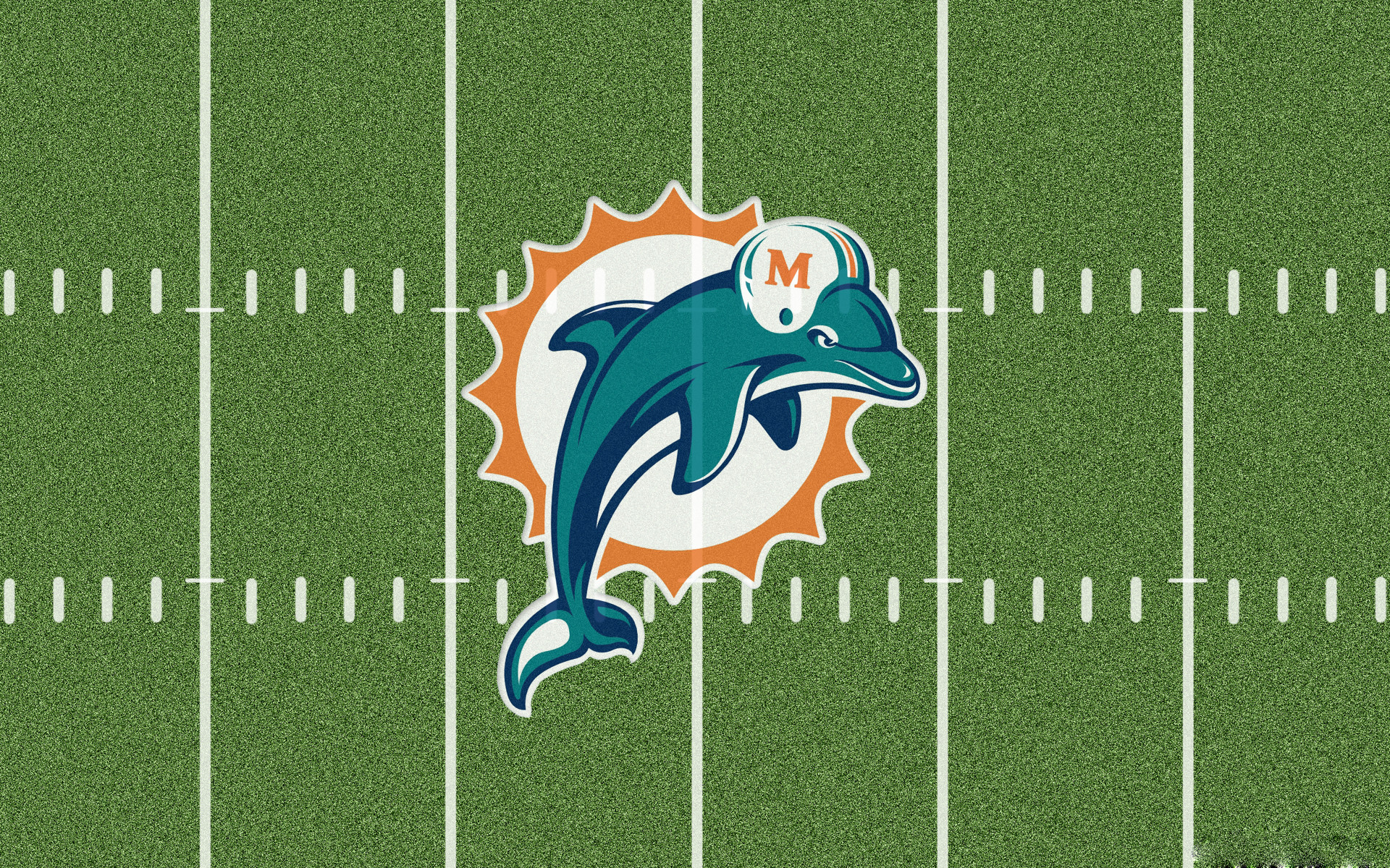 Miami dolphins 1080P 2K 4K 5K HD wallpapers free download  Wallpaper  Flare