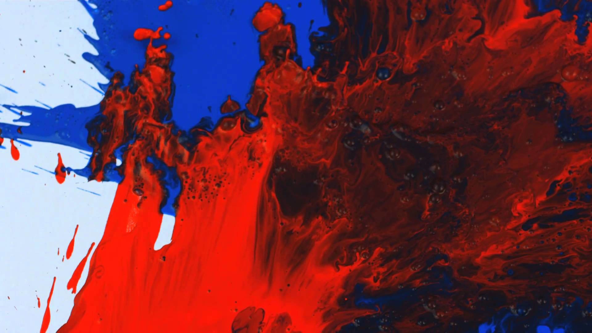 1920x1080 slow motion red and blue on white paint splatter wjt uqvxr .