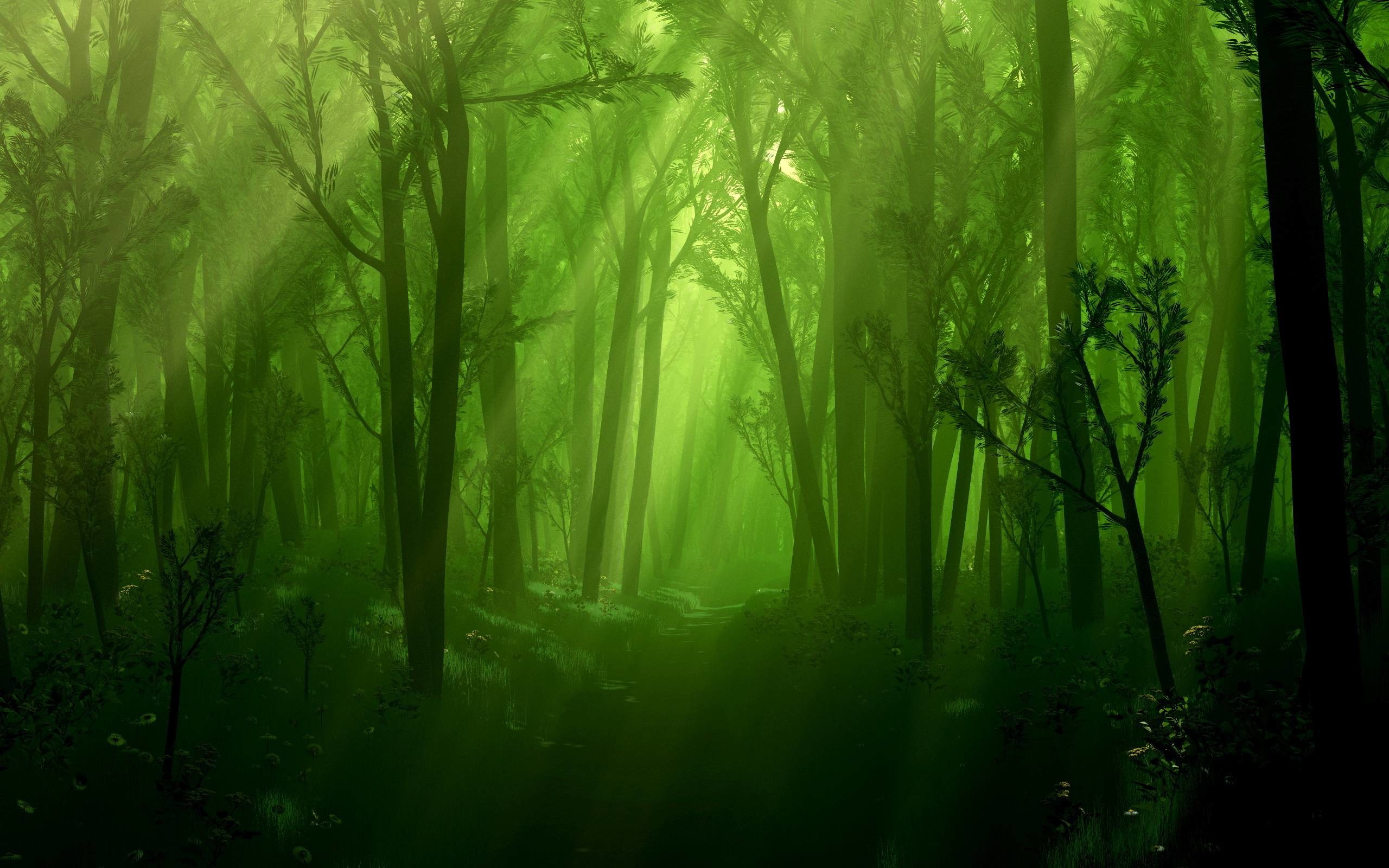 2560x1600 Enchanted Forest Wallpaper Hd High Resolution For Androids Backgrounds