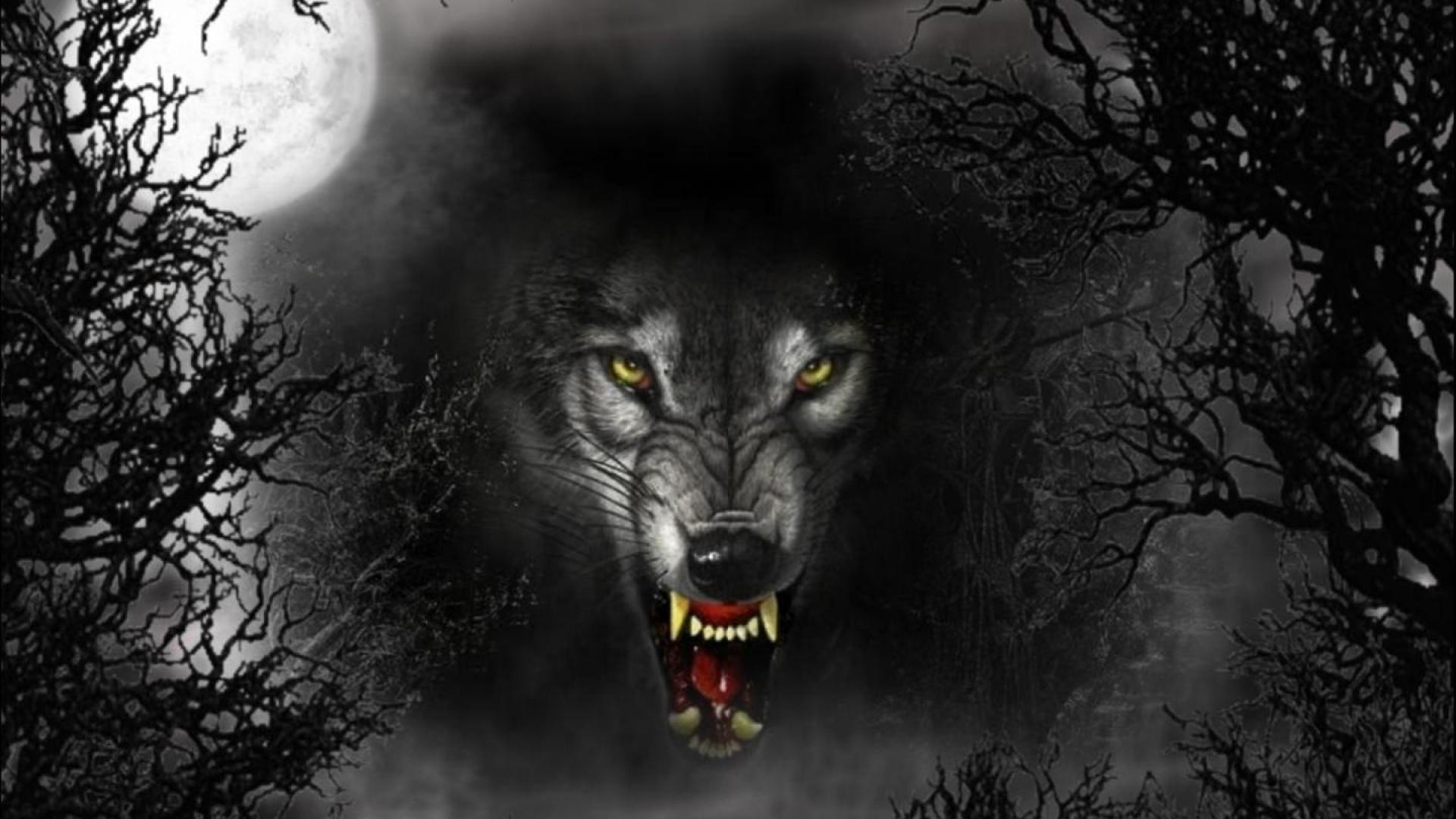 1920x1080 evil wolves | Cruel Wolf, dark, evil, eyes, full moon, vicious
