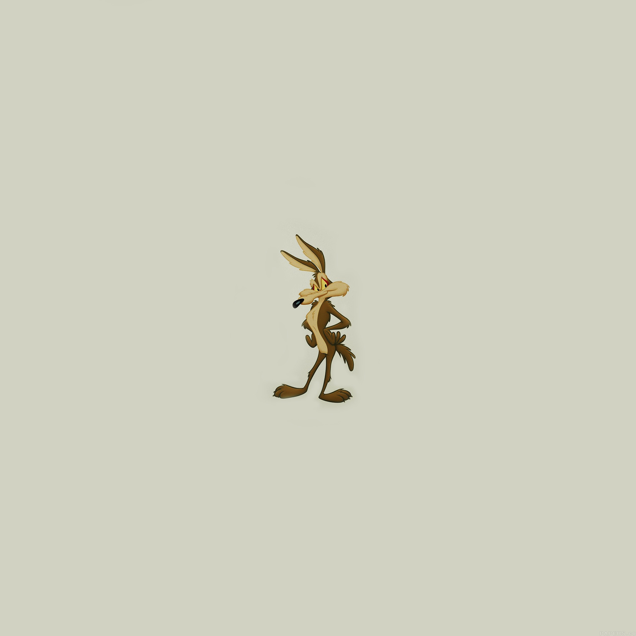 2048x2048 ... Wile E Coyote In Road Runner Illust Art Animal iPad Air wallpaper.