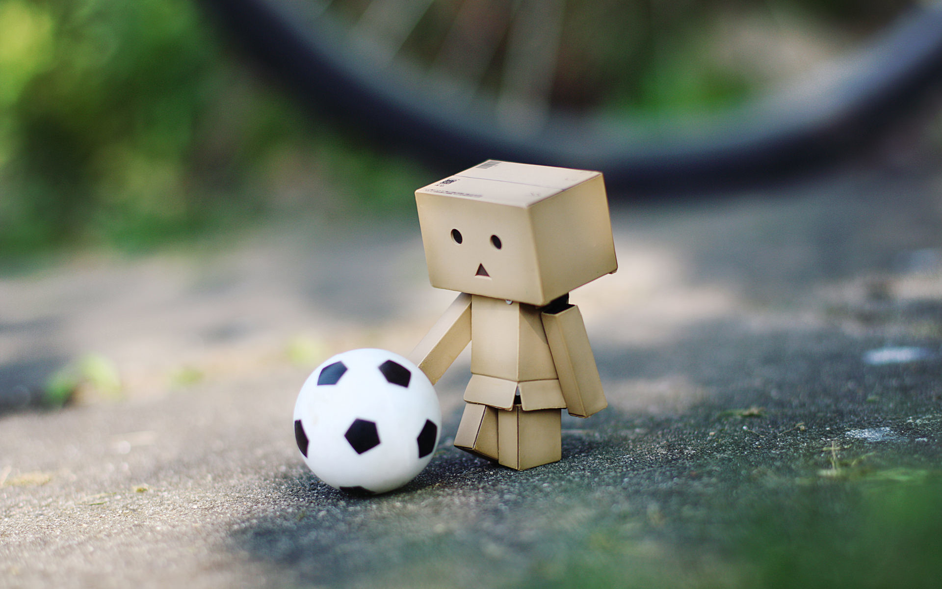 1920x1200 Danbo Soccer Background For Free