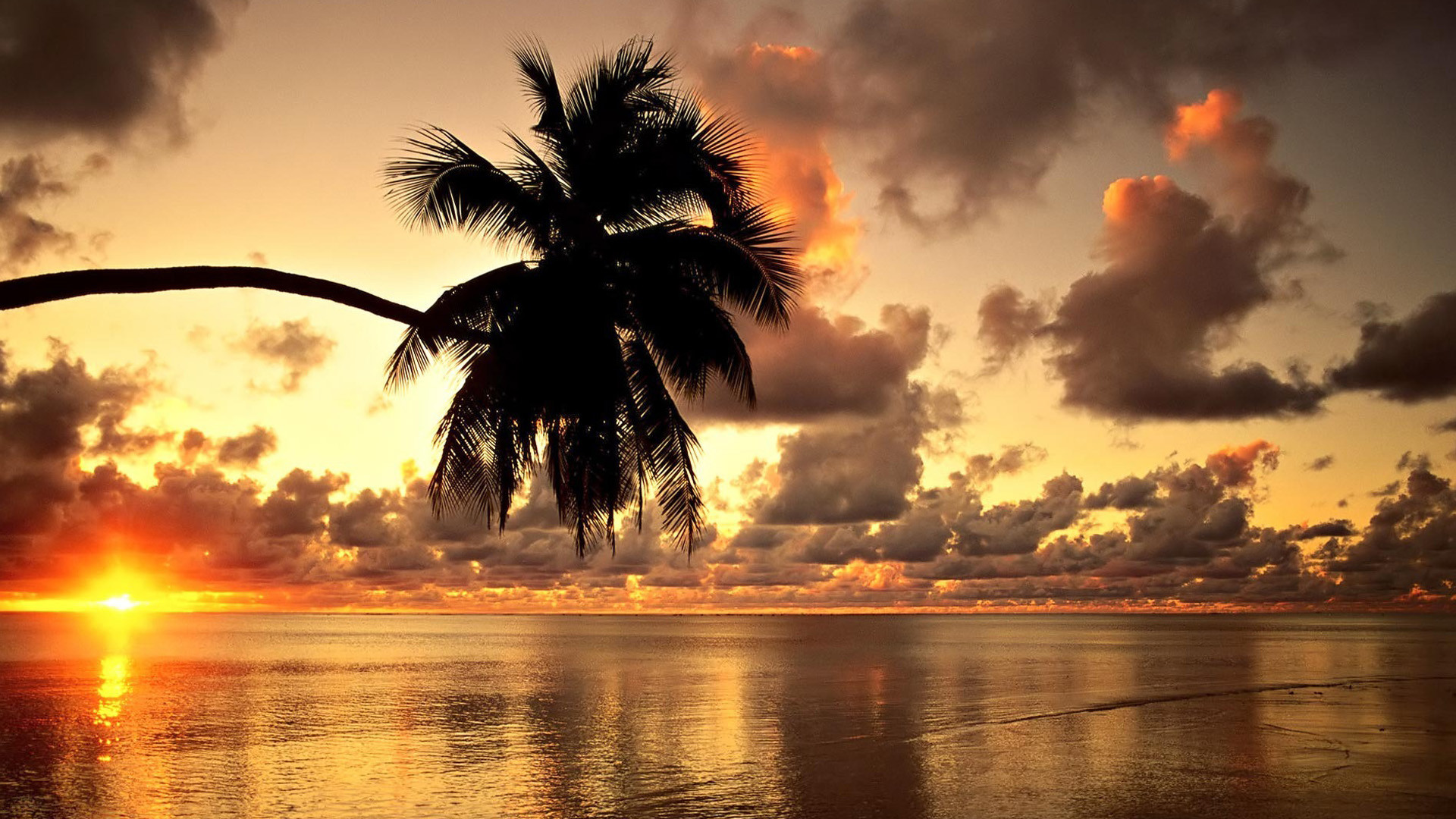 1920x1080 Tropical sunset beach beautiful scenery Wallpapers, Beach Pictures .