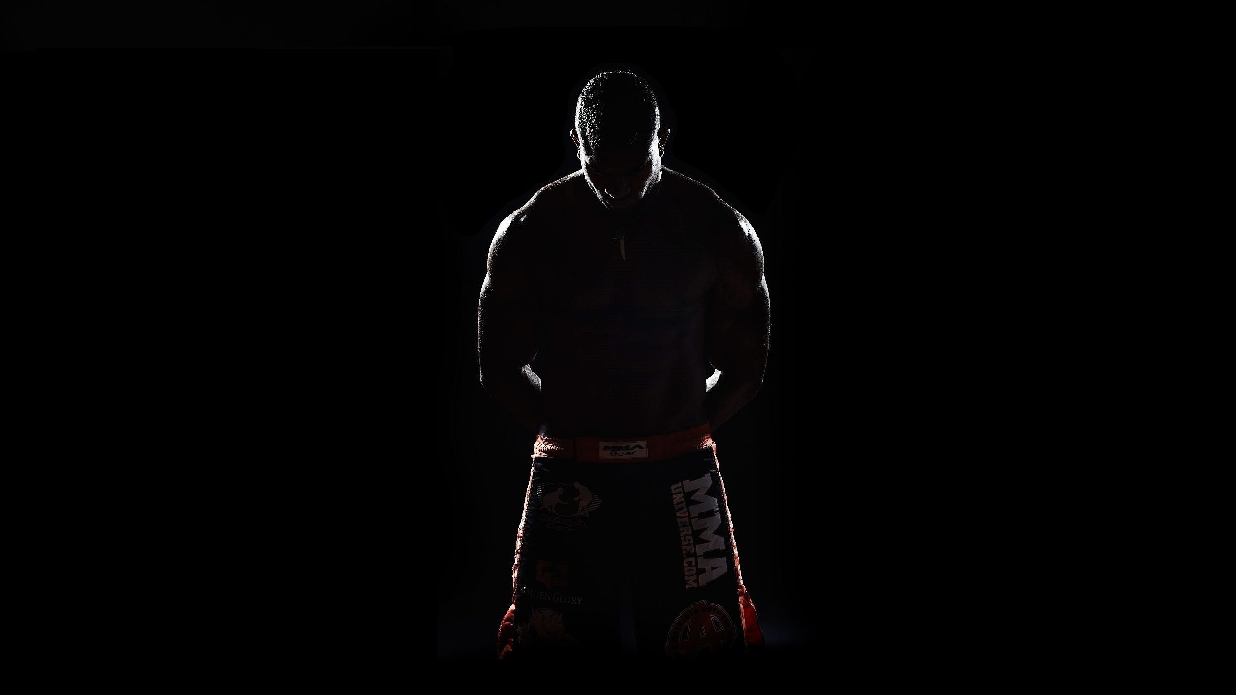 2539x1428 MMA Wallpapers