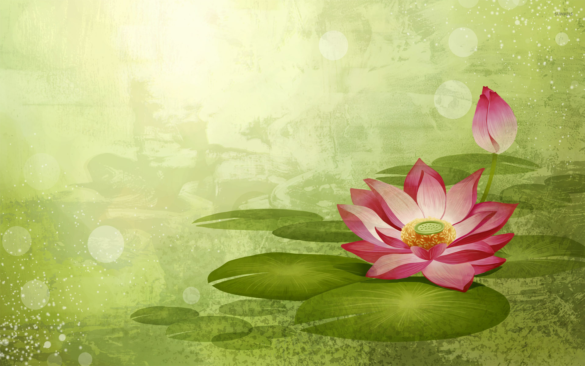 1920x1200 Water Lily wallpaper
