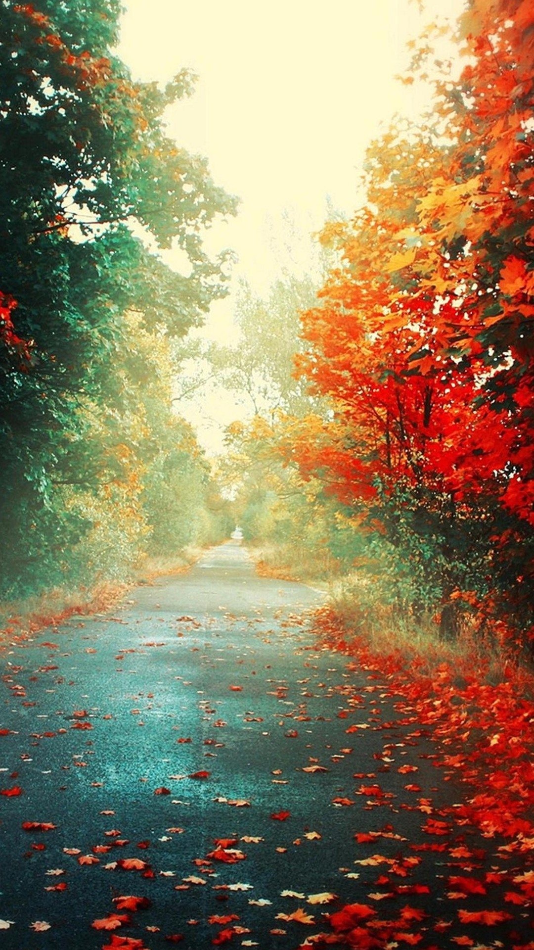 1080x1920 Wallpaper full hd 1080 x 1920 smartphone red leaves autumn