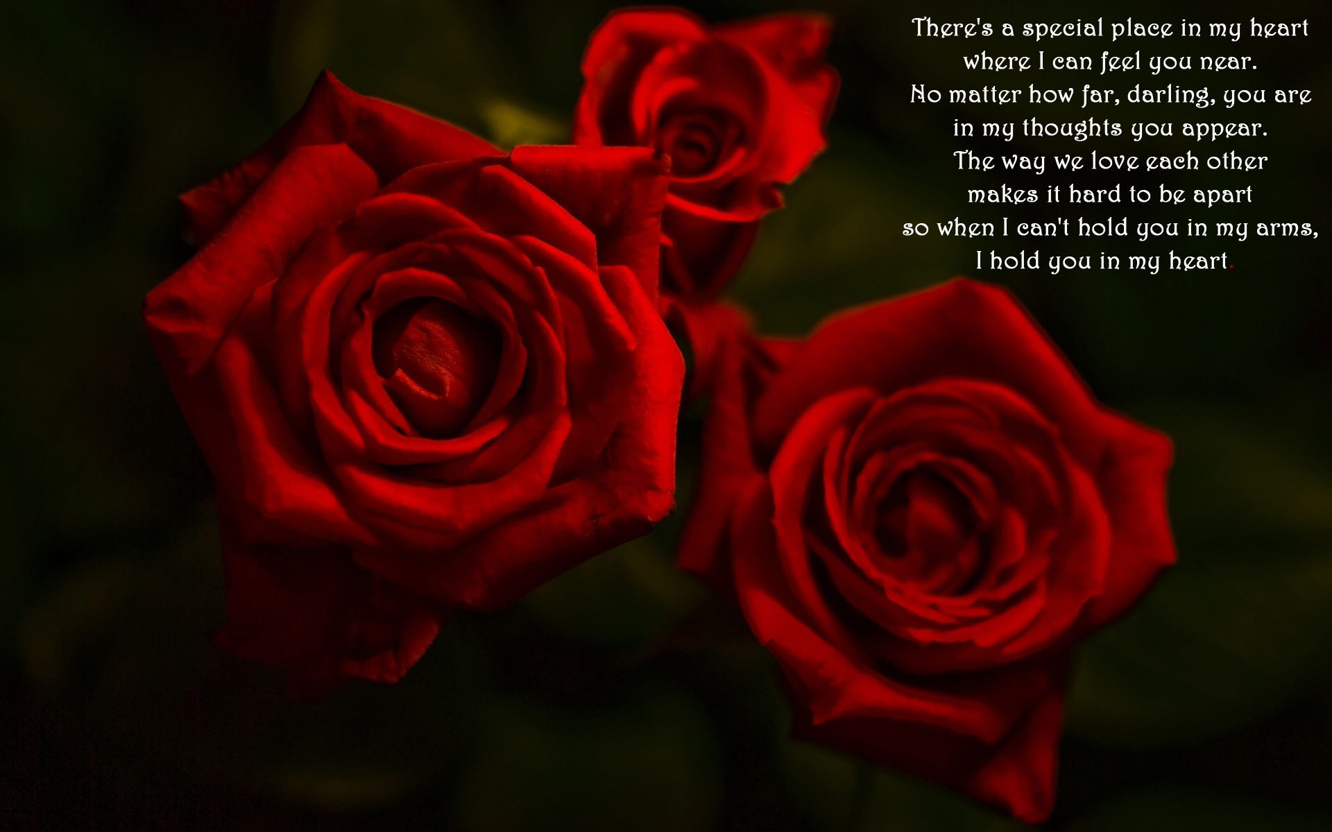 1920x1200 Rare Love Poems | Love poem and red roses Widescreen Wallpaper - #530