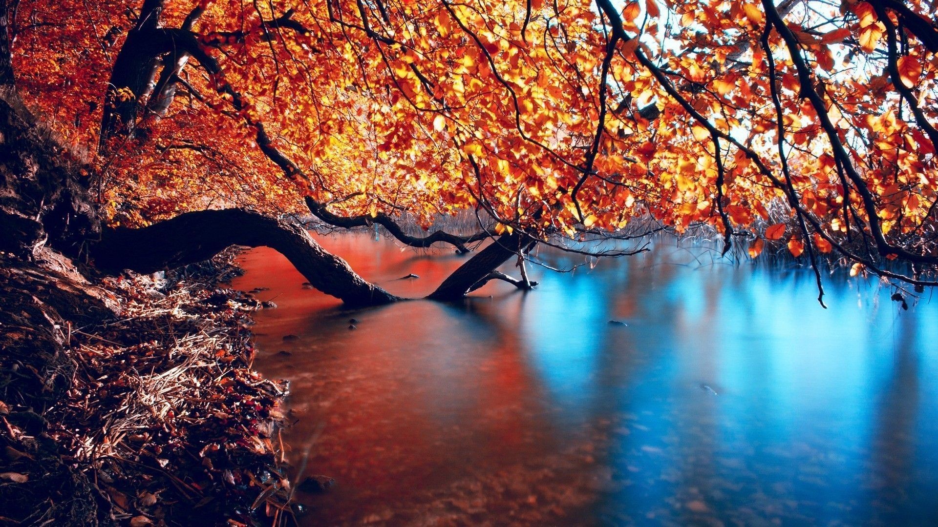 1920x1080 Stunning HD Autumn. Â«