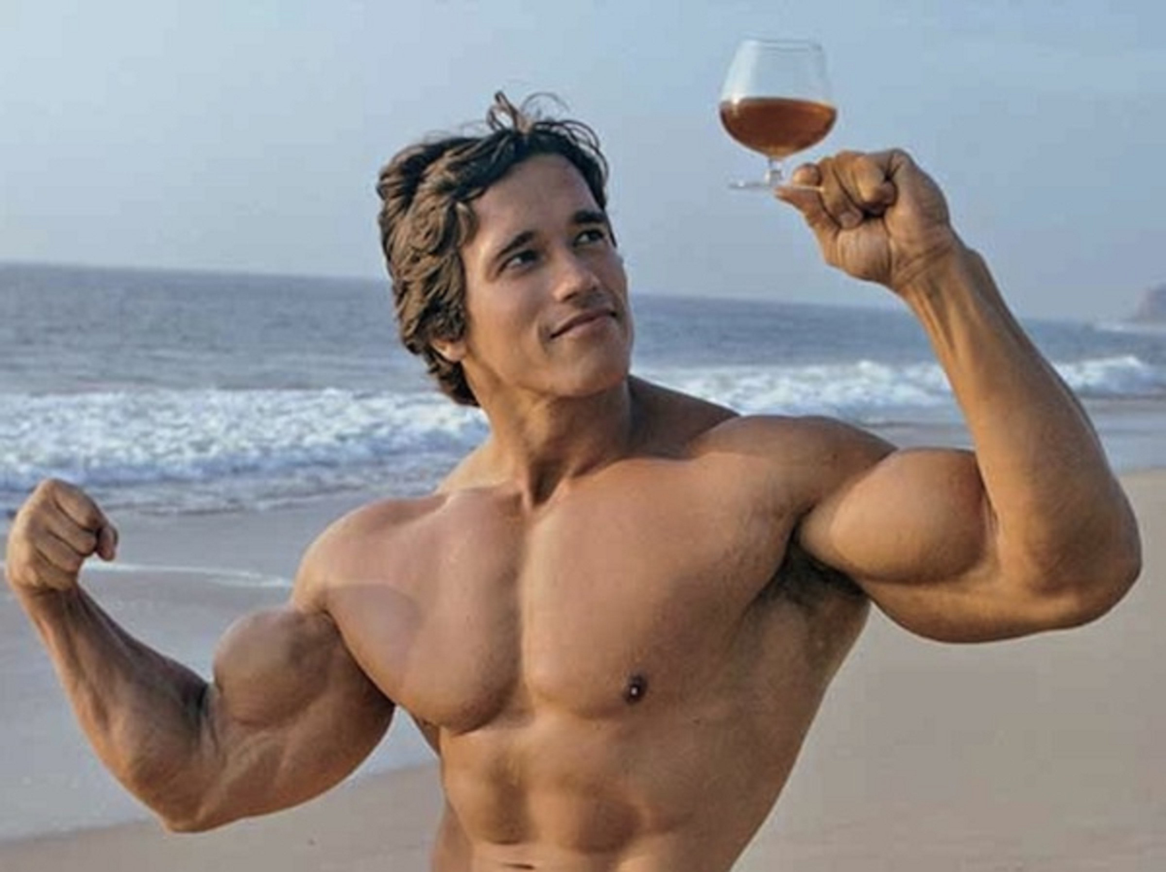 2400x1796 Arnold Schwarzenegger At Beach Holding Beer Glass Wallpaper HD