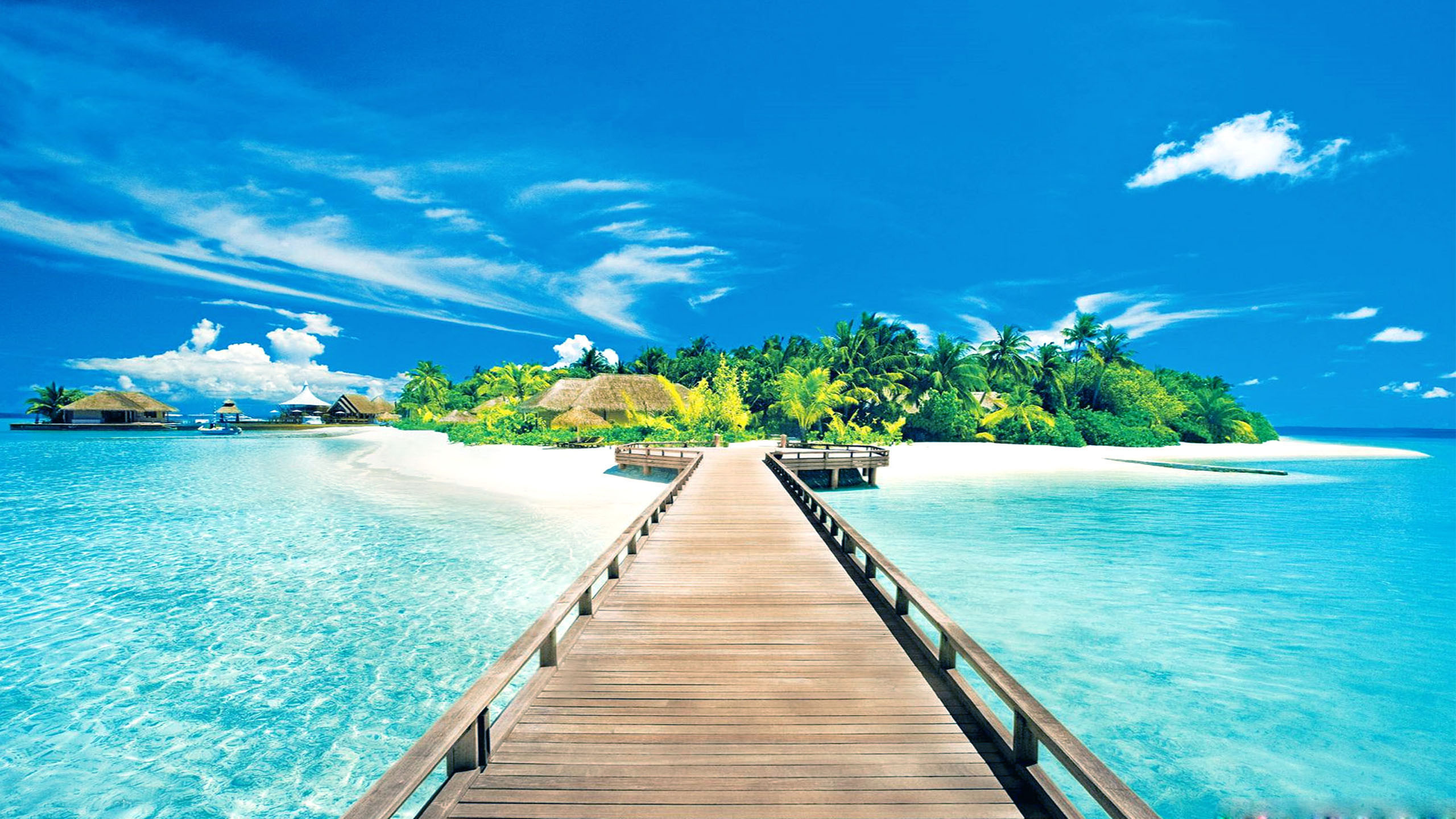 2560x1440 Explore Exotic Beaches, Tropical Beaches, and more!
