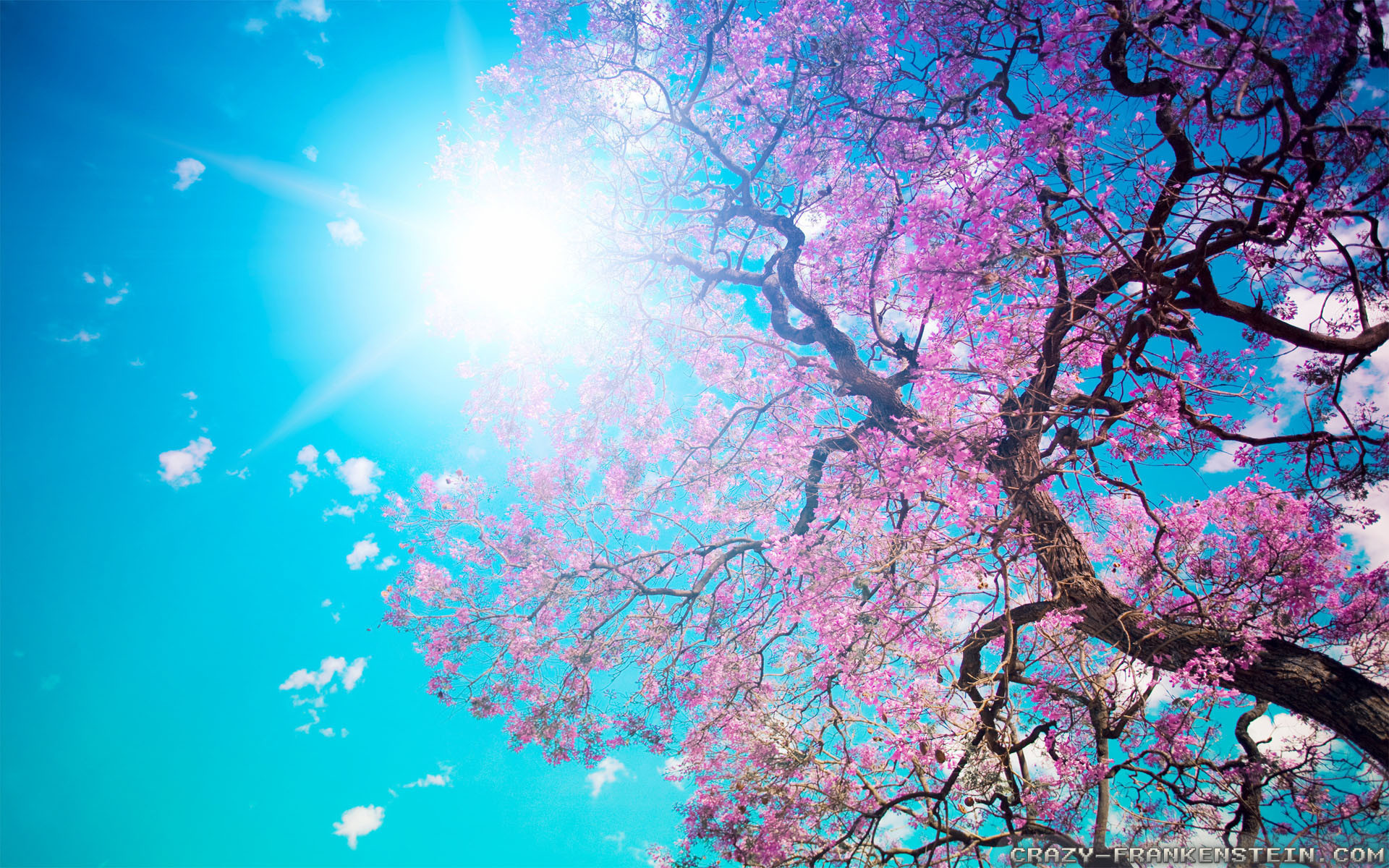 1920x1200  Wallpaper: Beautiful Spring nature wallpapers. Resolution:  1024x768 | 1280x1024 | 1600x1200. Widescreen Res: 1440x900 | 1680x1050 |  
