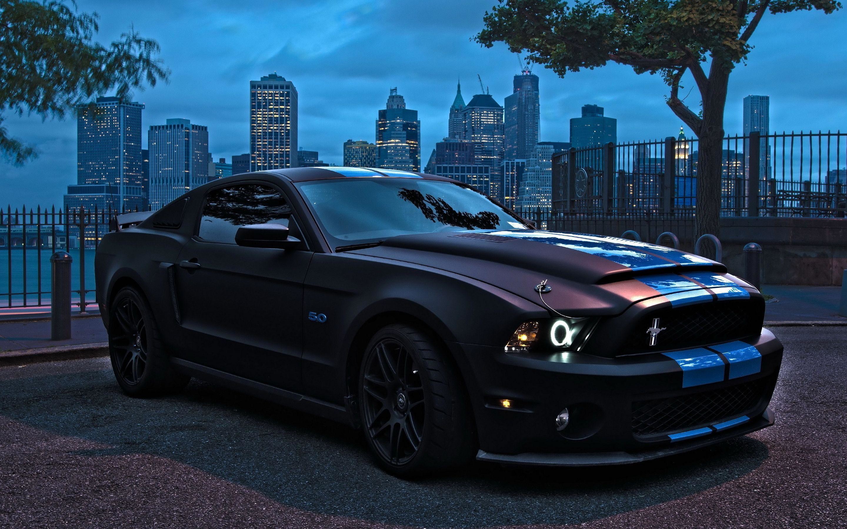 2880x1800 Shelby Mustang | Ford Mustang Shelby GT-500 Black HD Wallpapers .