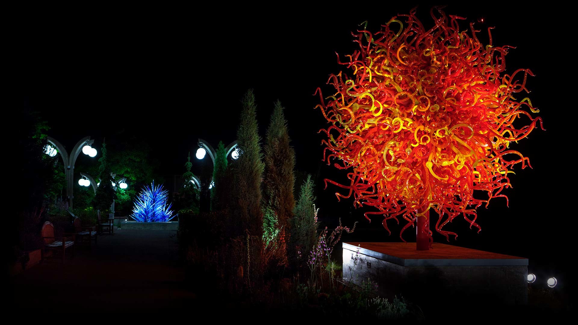 1920x1080 Chihuly Image 5