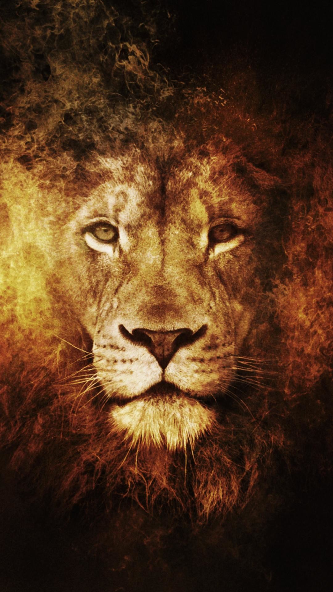 1080x1920 Lion Wallpaper Hd Animals Lion Iphone 6 Plus Wallpaper