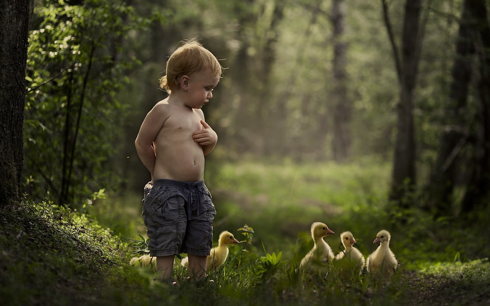 1920x1200 Mood malchik summer duck baby bird child children cute wallpaper |   | 433474 | WallpaperUP