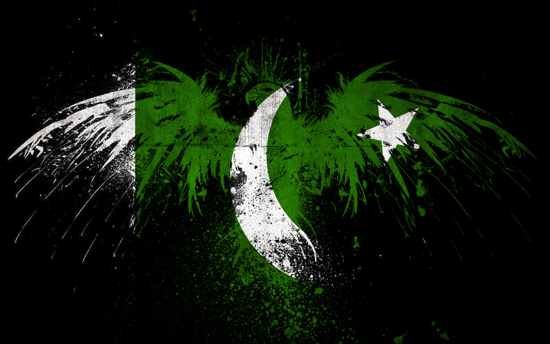 1920x1200 Verschiedenes - Flag Of Pakistan Adler Flagge Pakistan Wallpaper