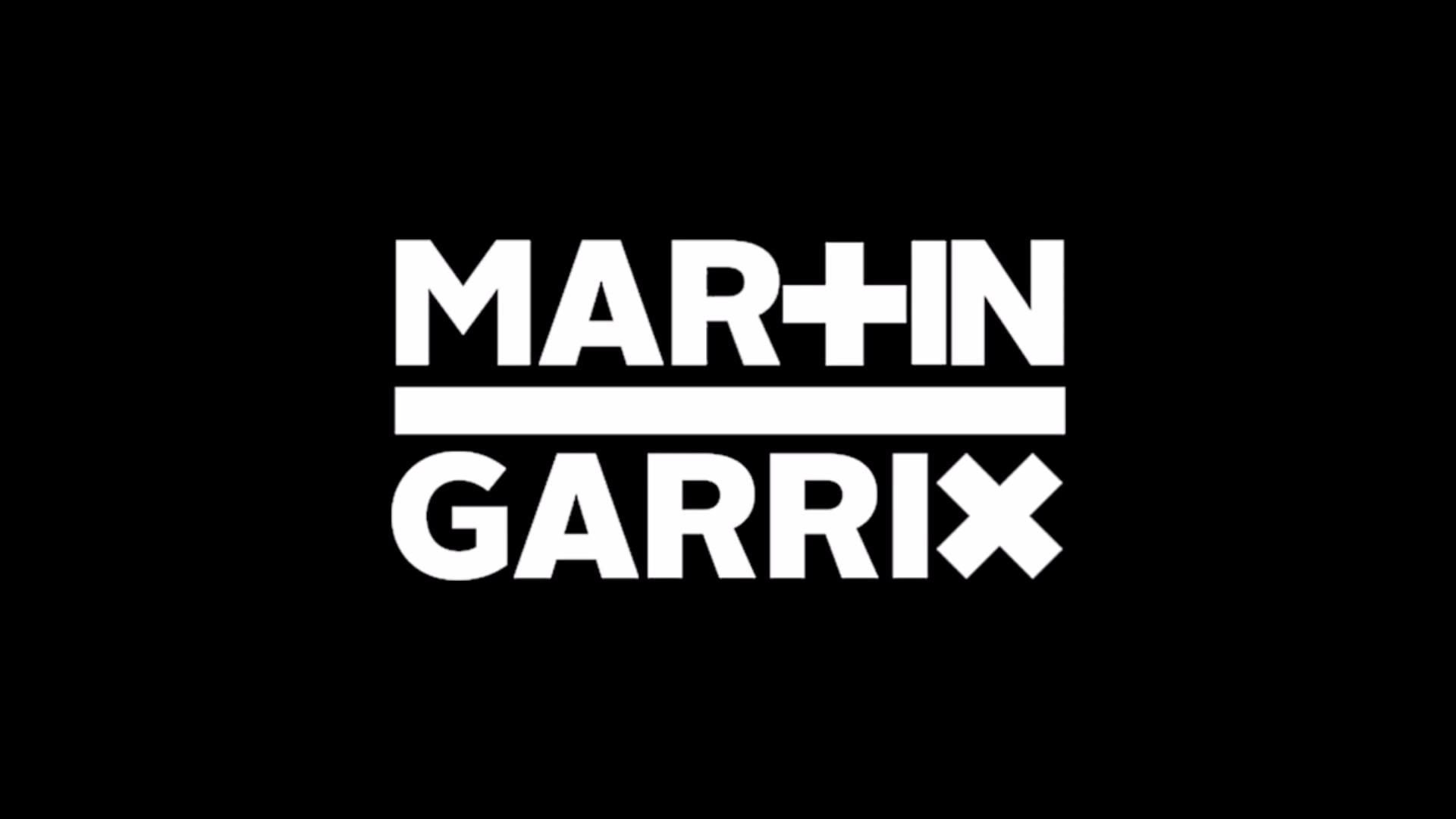 1920x1080 Martin Garrix Third Party Lions In The Wild