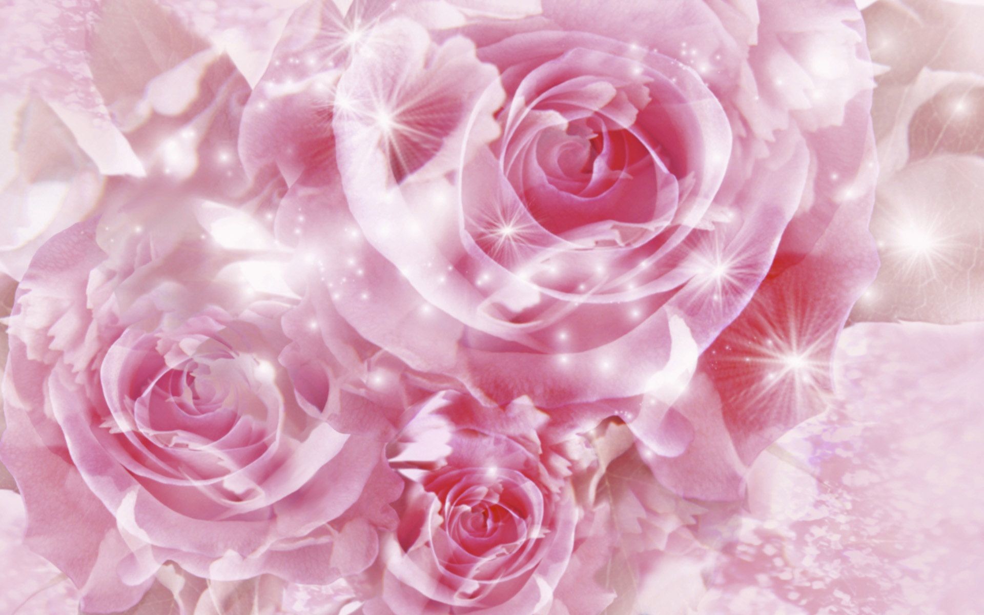 1920x1200 Pretty Pink Roses - Roses Wallpaper (34610924) - Fanpop