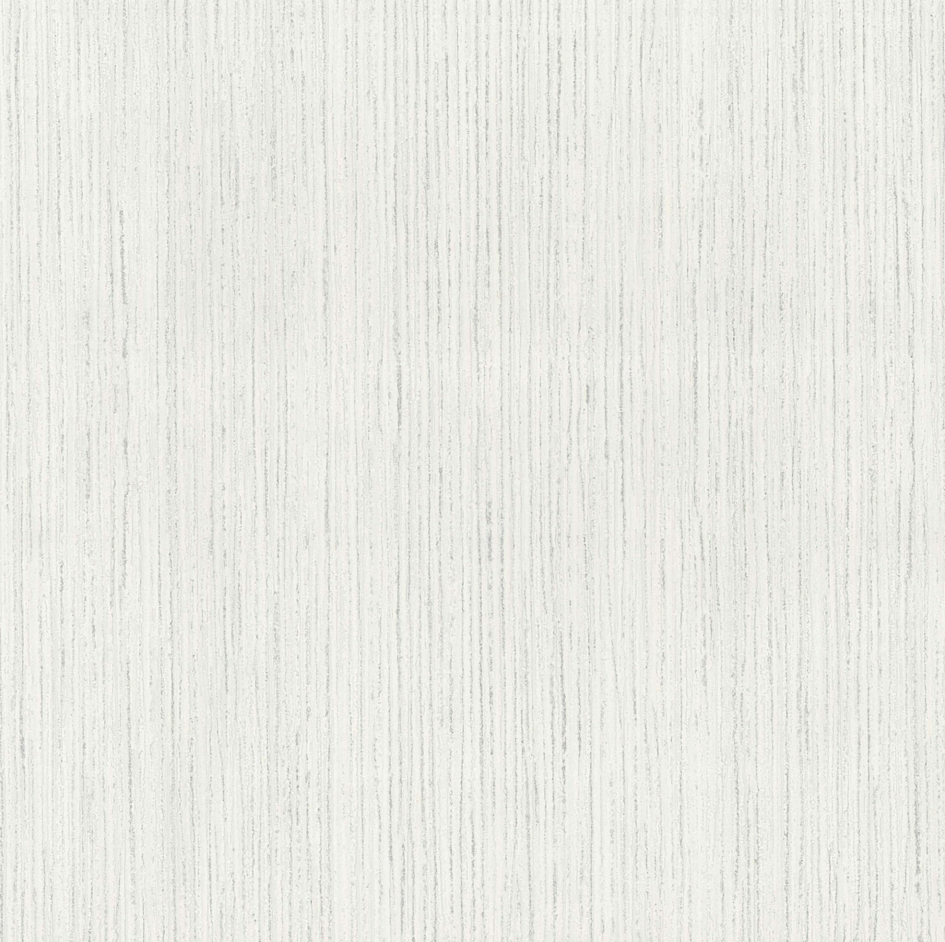 1920x1914 Silver Birch Texture White Blown Vinyl Wallpaper by P+S International  13195-60