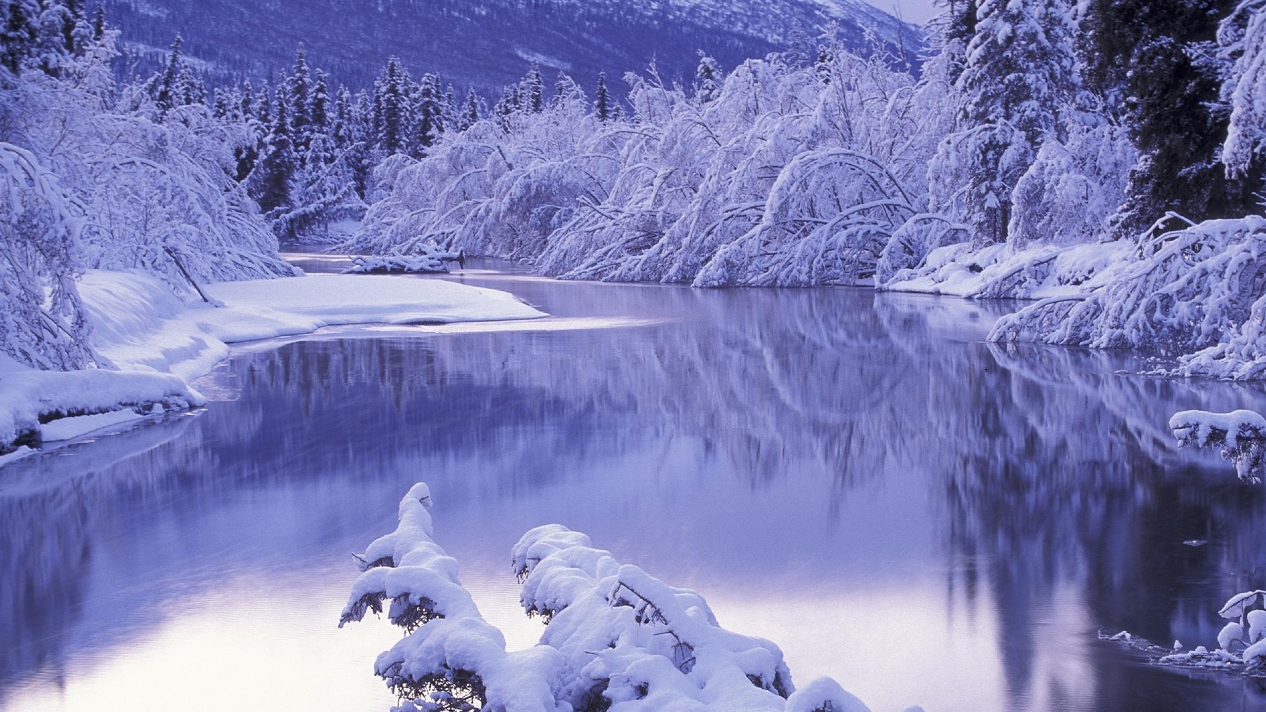 2560x1440 Preview wallpaper snow, white, winter, nature, scenery 