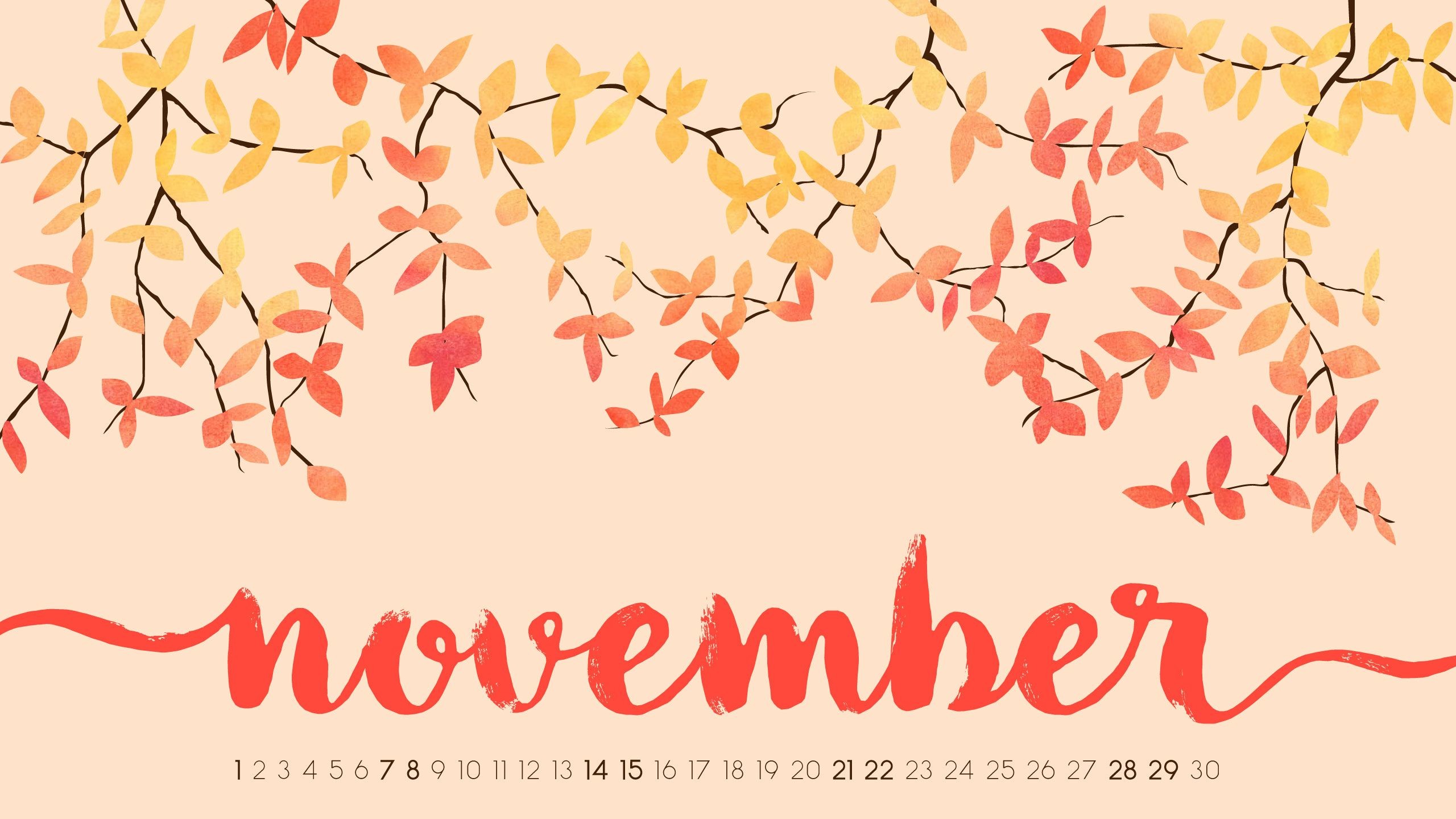 2560x1440 Cute November 2018 Calendar Background Wallpaper Free Download