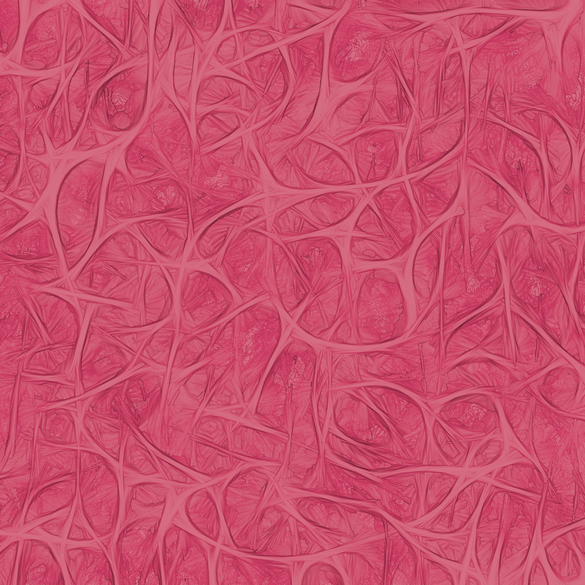 1920x1920 Fluffy Texture Fluffy Cat Texture Background Texture Wallpaper Red ...