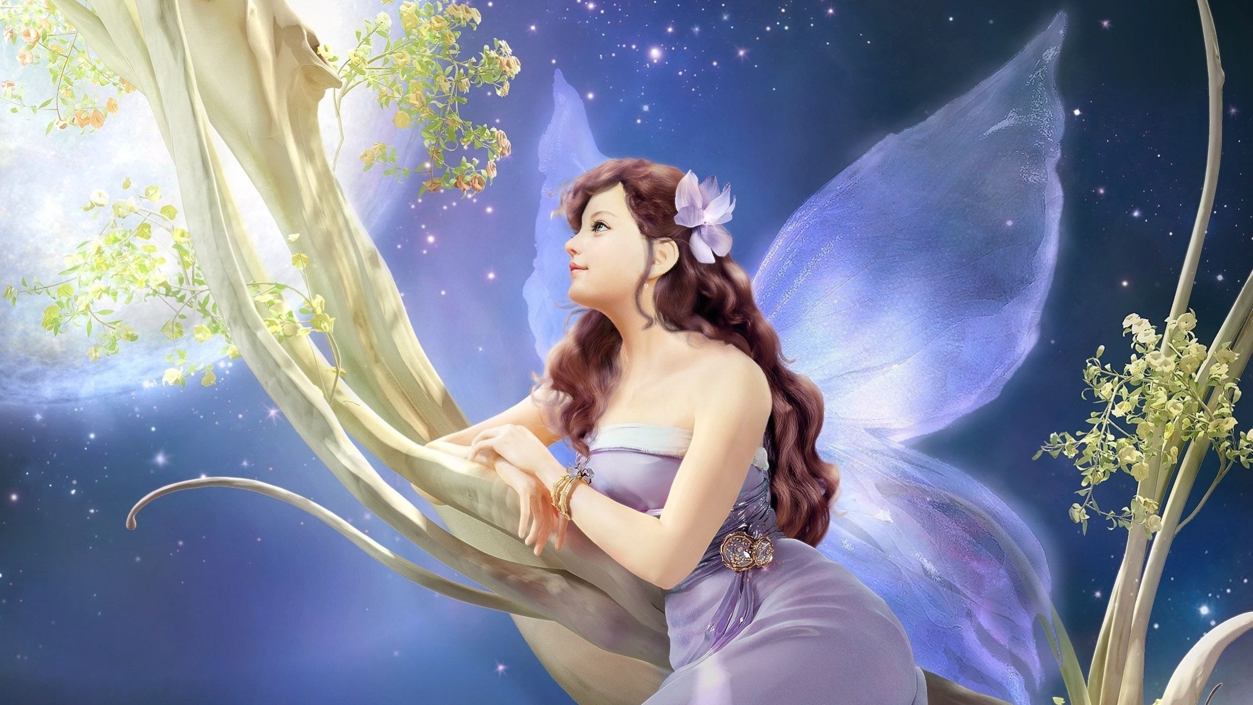 2560x1440 Fairy Wallpaper Fairy Wallpaper Fairy Wallpaper ...