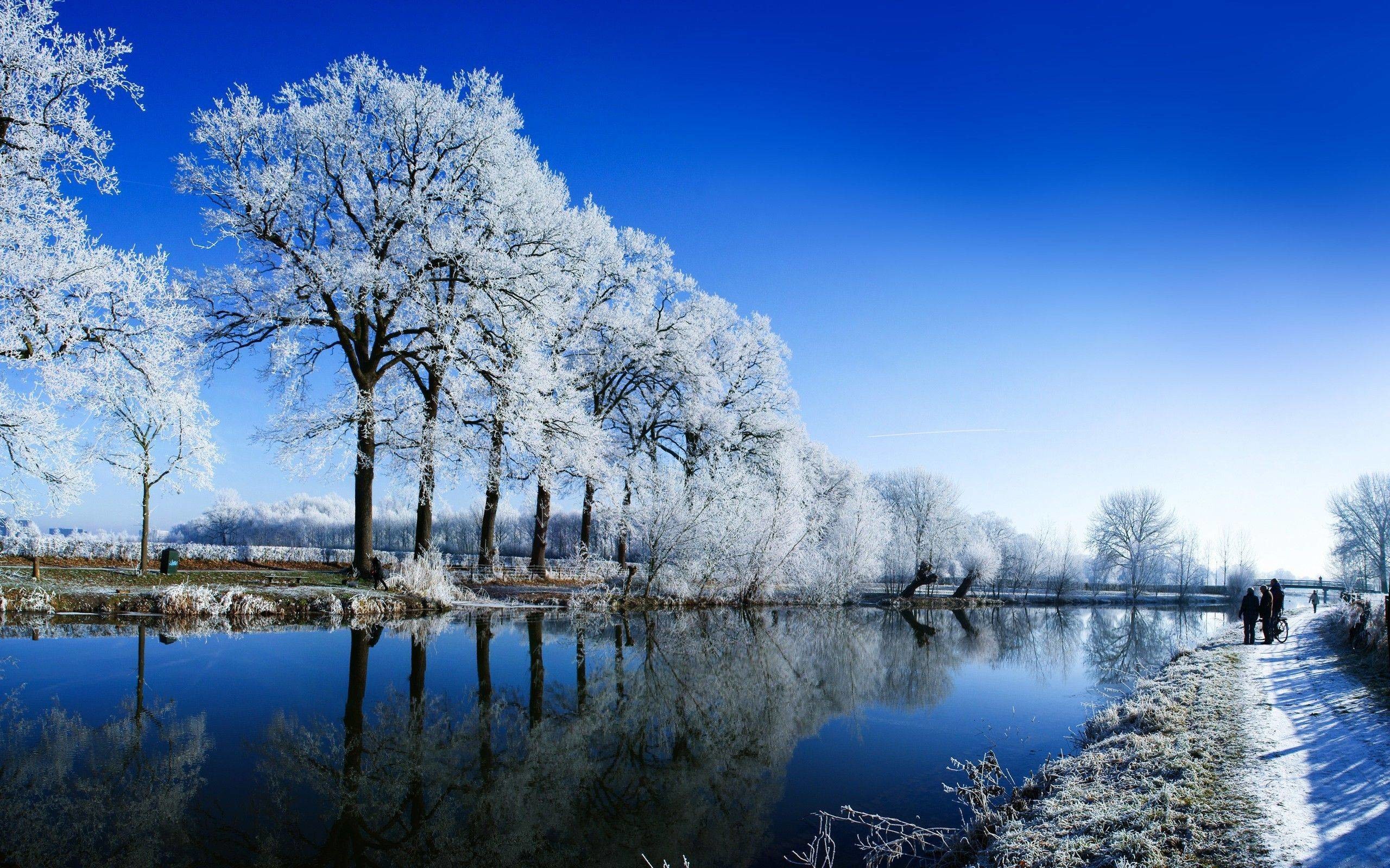 2560x1600 Winter landscape Wallpaper #