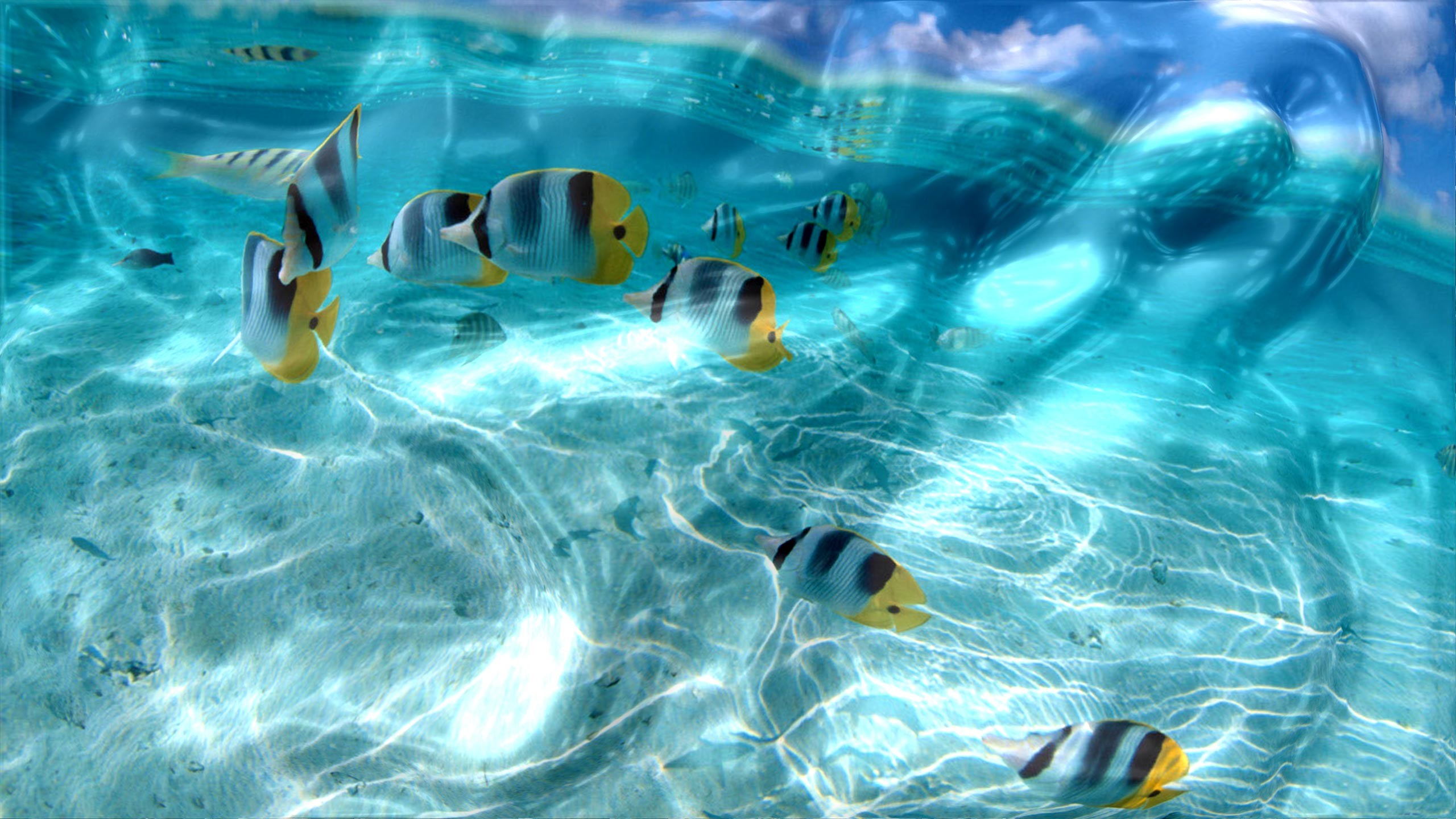 2560x1440 Watery Desktop 3D