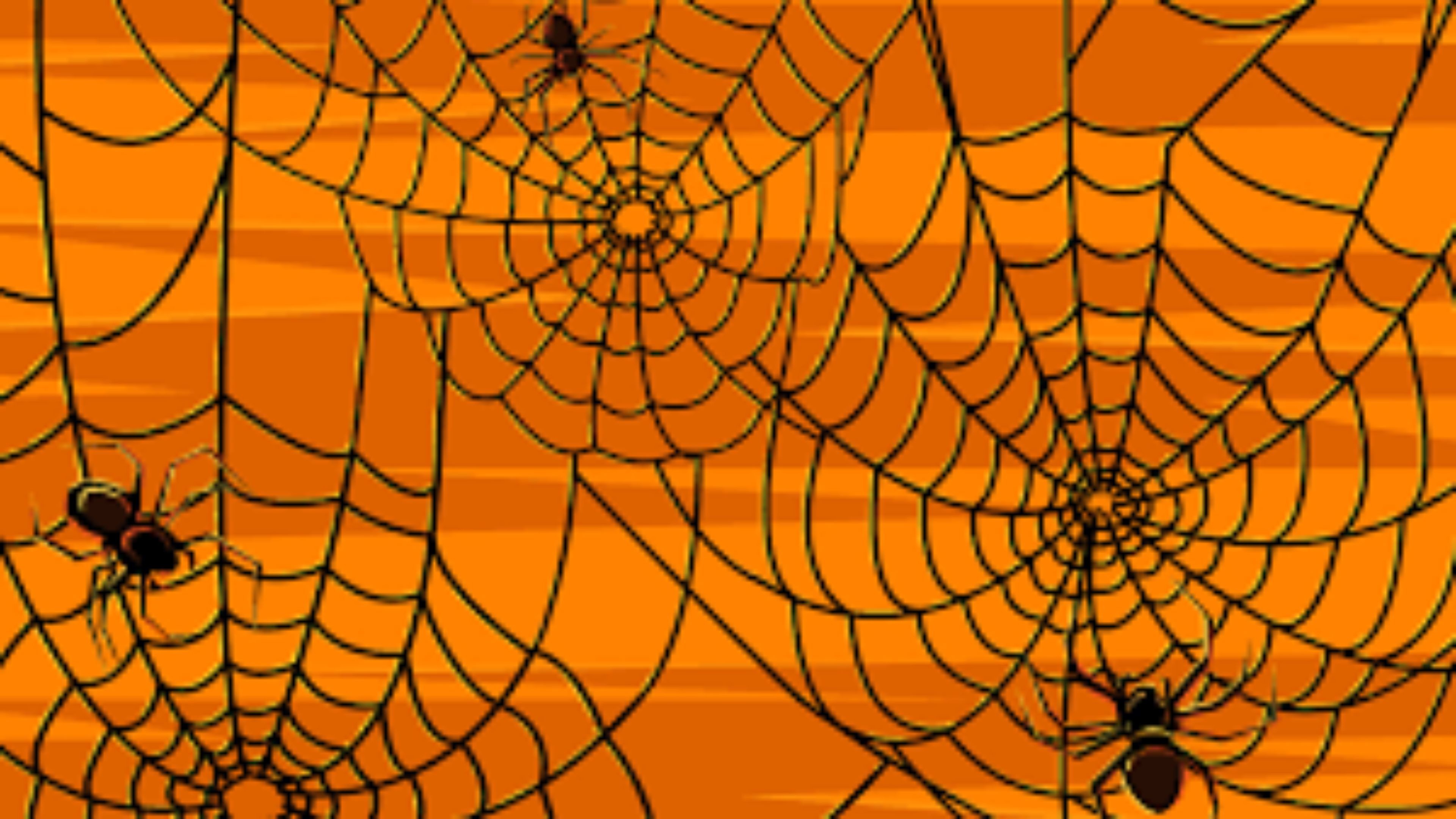 3840x2160 Spider Web 2016 Happy Halloween 4K Wallpaper | Free 4K Wallpaper. Spider  Web 2016 Happy Halloween 4K Wallpaper Free 4K Wallpaper