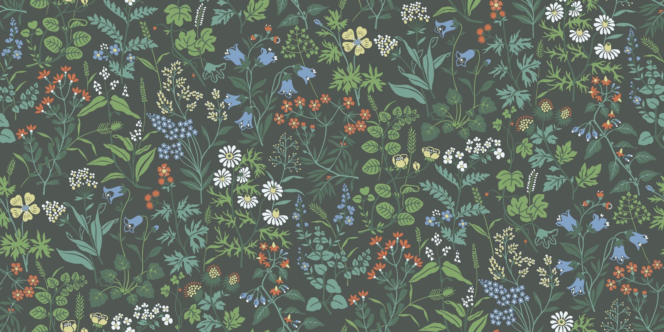 2165x1083 Flora Wildflower Wallpaper