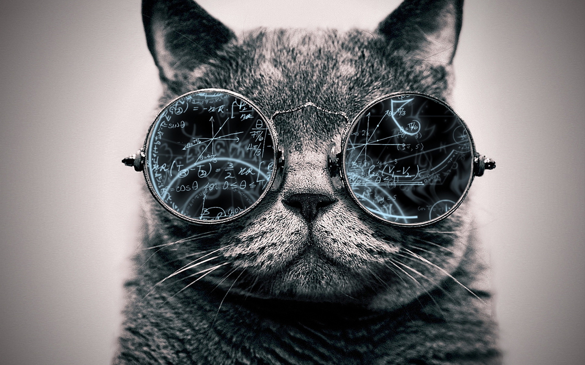 1920x1200 Cool Cat: Genius by ToValhalla Cool Cat: Genius by ToValhalla