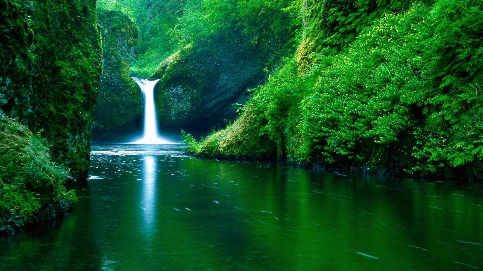 1920x1080 4. cool-nature-wallpapers-HD4-600x338