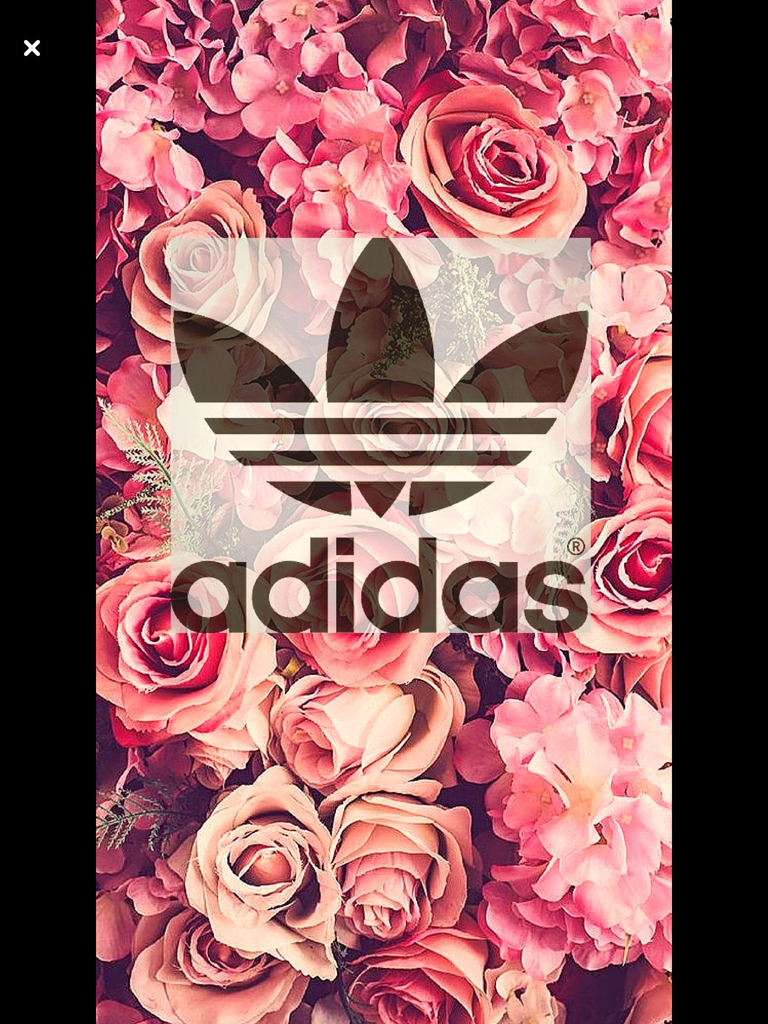 1536x2048 Cute wallpapers wallpaper backgrounds wallpaper for phone adidas  backgrounds cute ipad wallpaper nike floral png 