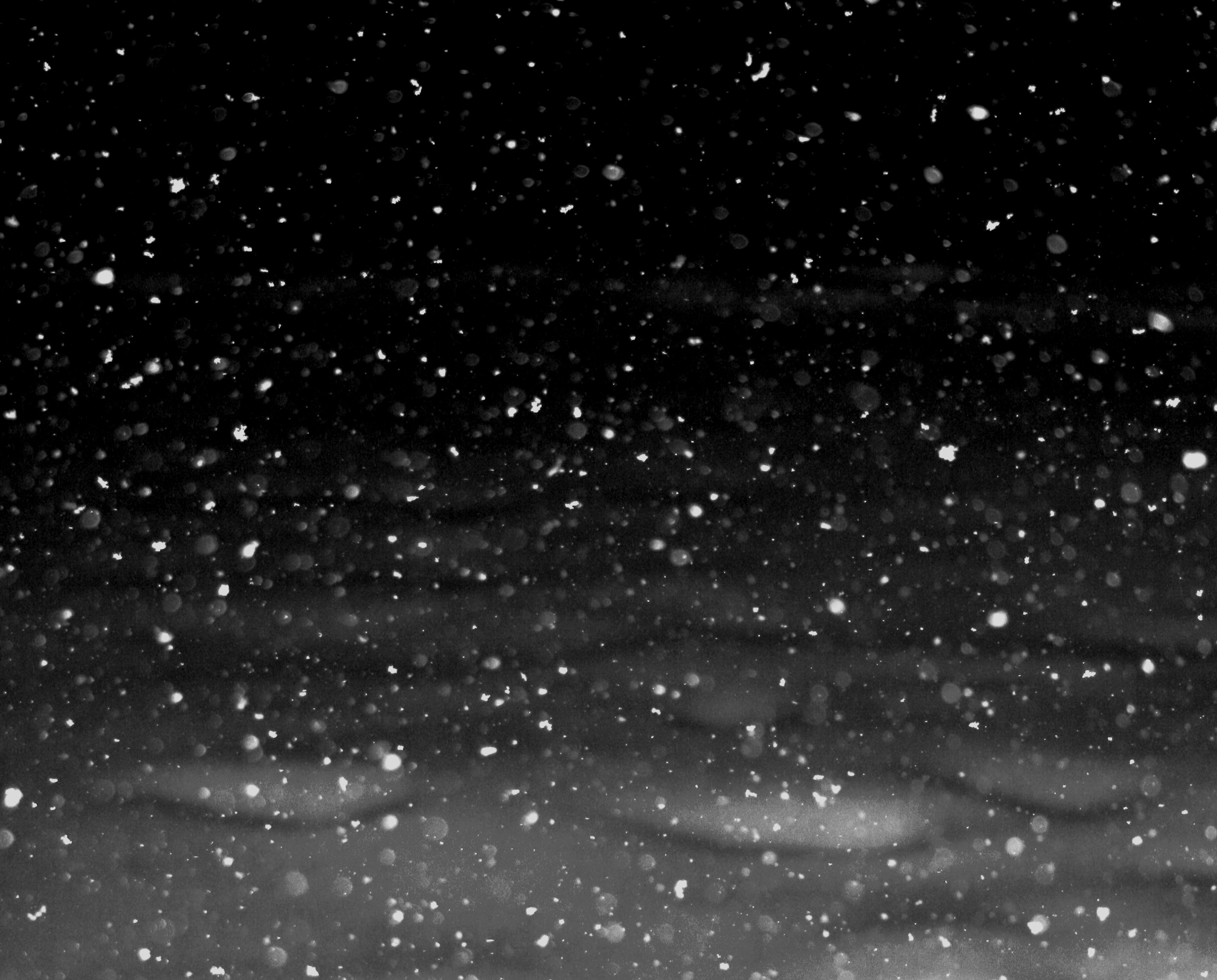 2484x2002 File:Free snowflakes falling at Night texture for layers Creative Commons  (3061623692).