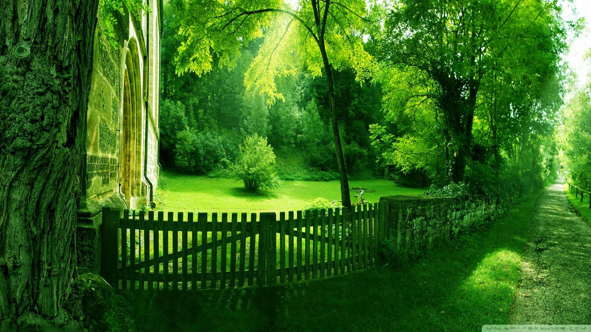 1920x1080 Nature Wallpapers High Resolution Green