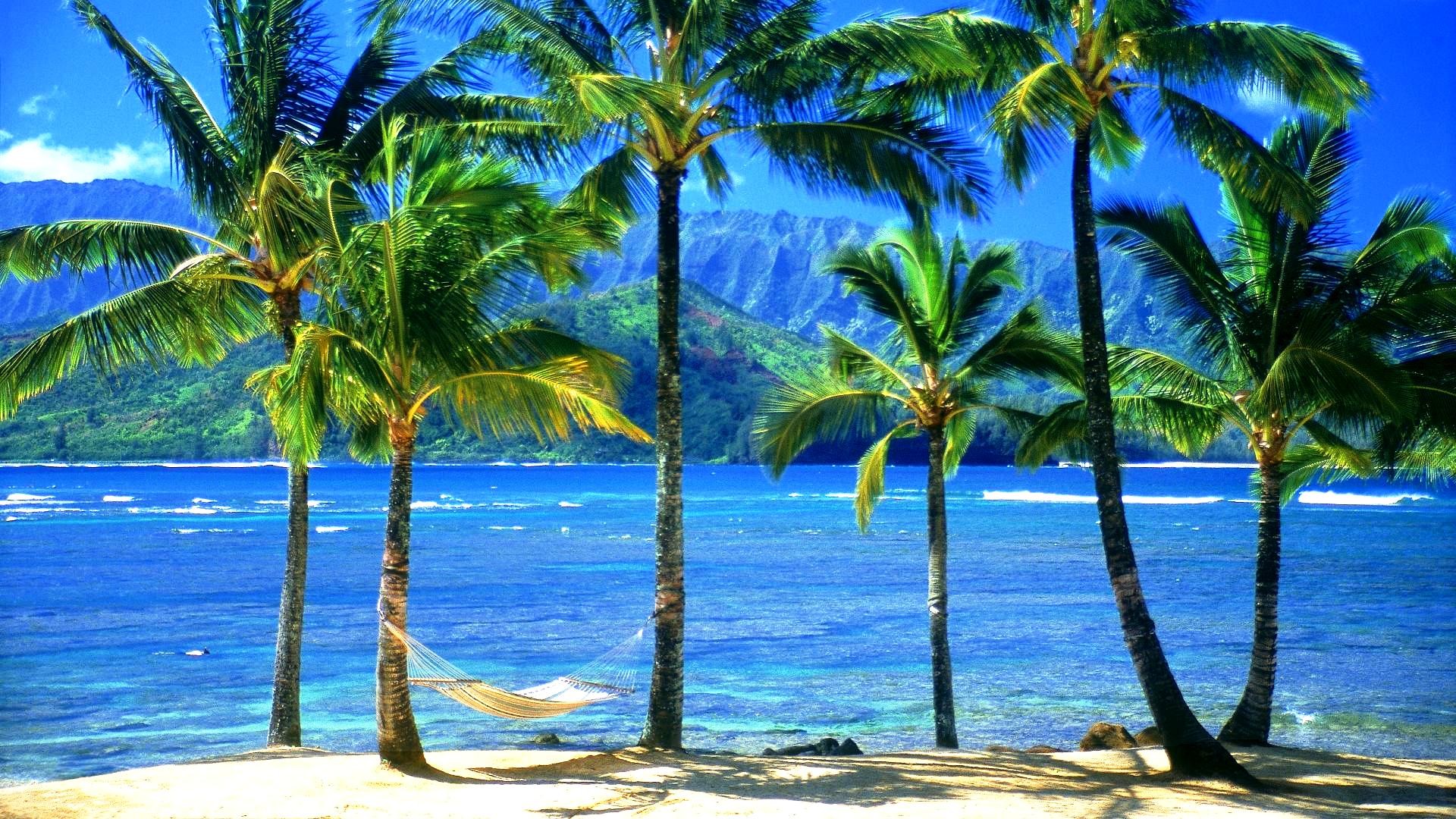 1920x1080  Hawaiian Desktop Wallpaper Hawaii Beach.jpg (1920Ã—1080) Beach
