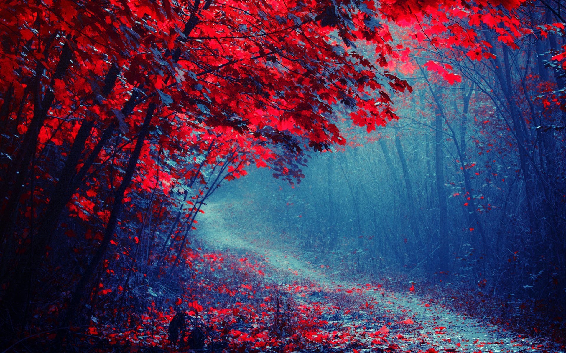 1920x1200 forest road tree autumn purple fog park path