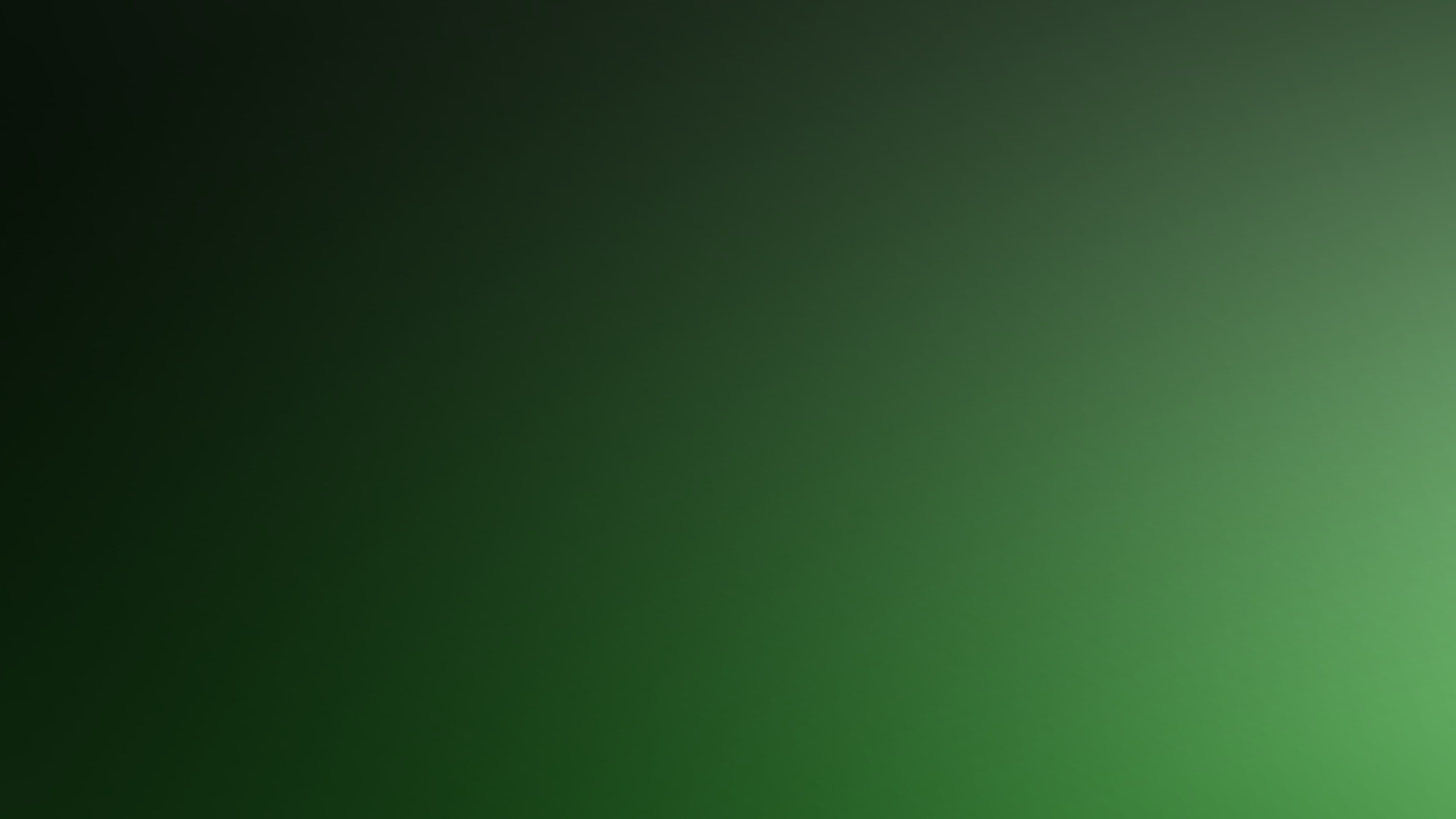 2560x1440  Wallpaper green, background, texture, solid, color