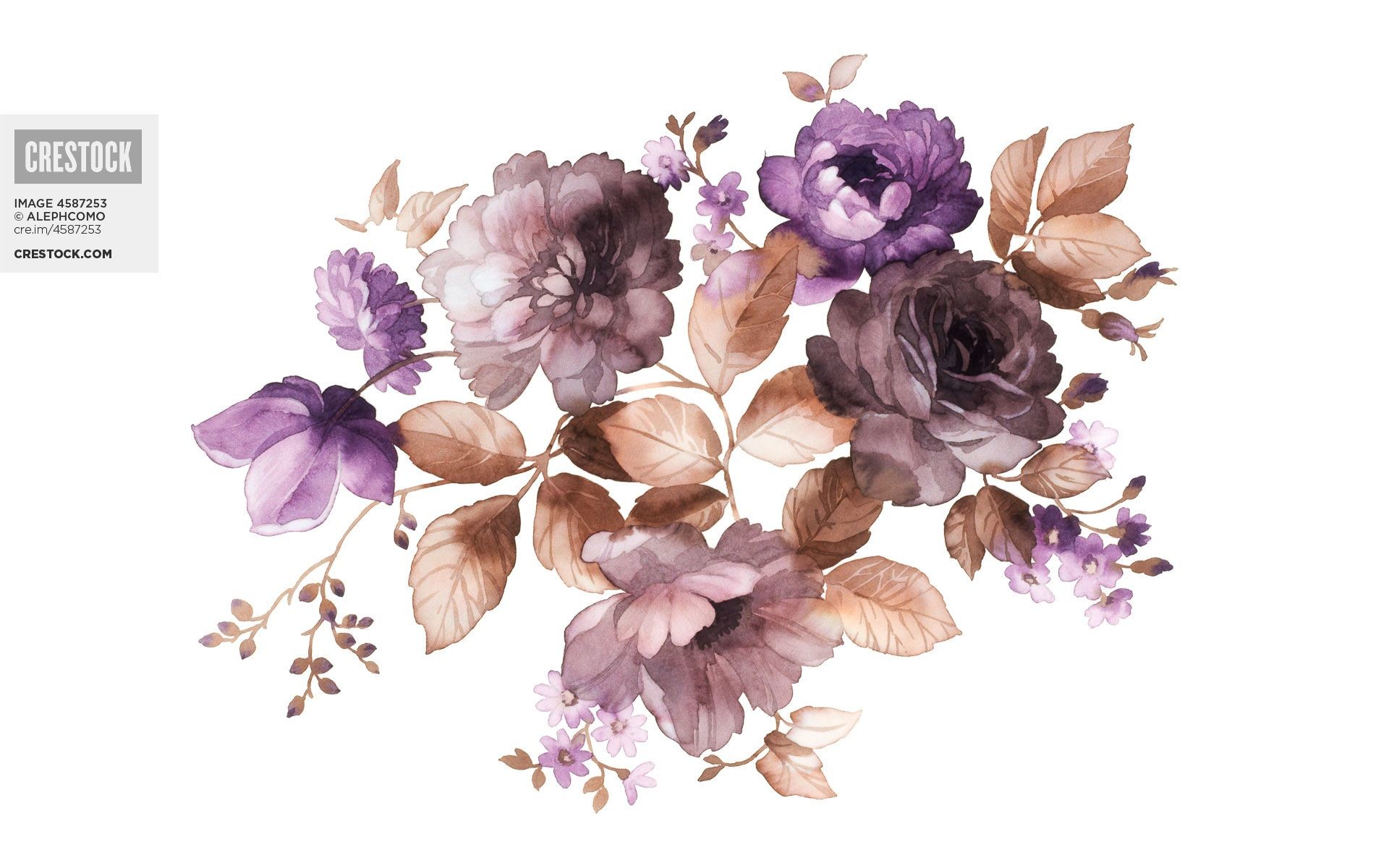 1920x1200 ... Watercolor Flowers Wallpaper Wallpapersafari. Download