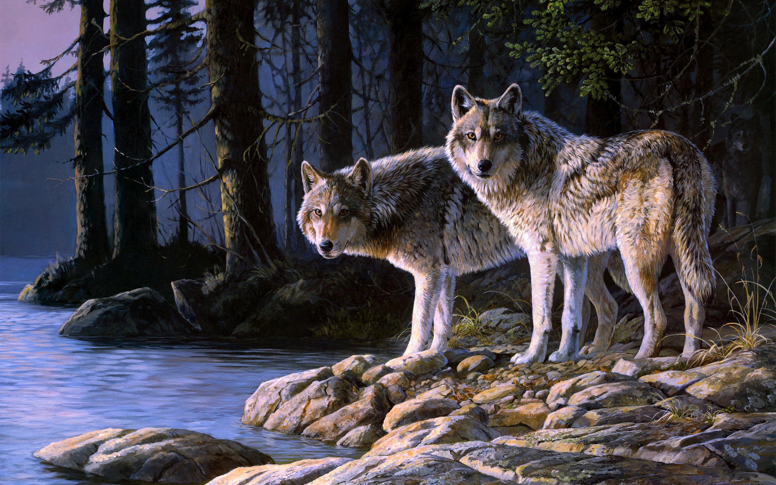 2560x1600 Wolf Wallpaper Nature Backgrounds.