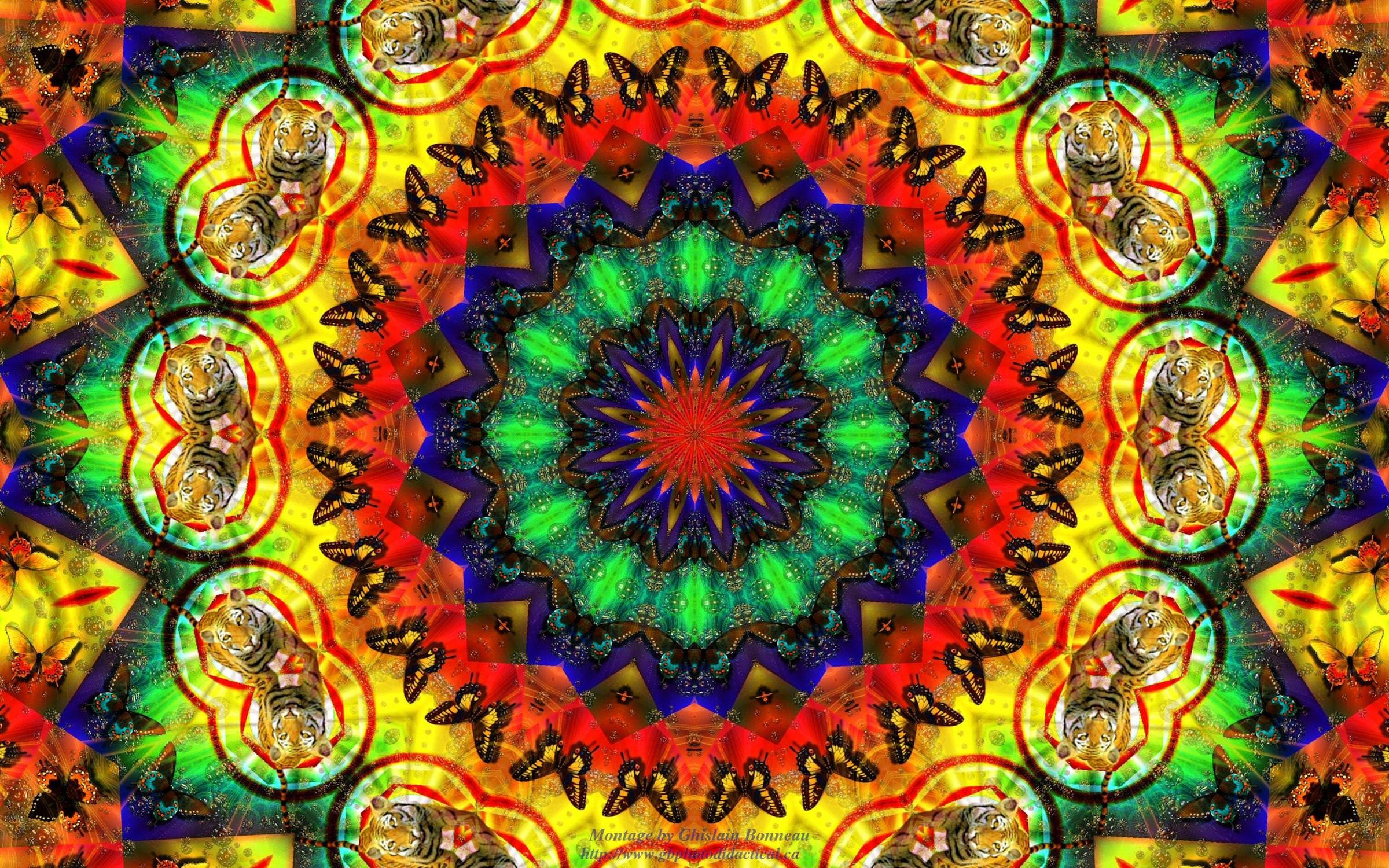 2400x1500 Trippy Background of Hippie Style
