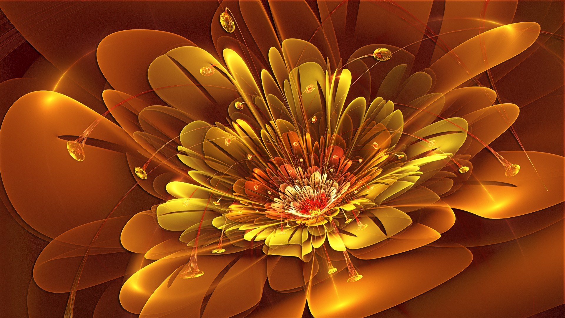 1920x1080 Abstract Flower Wallpaper | Rose Pictures