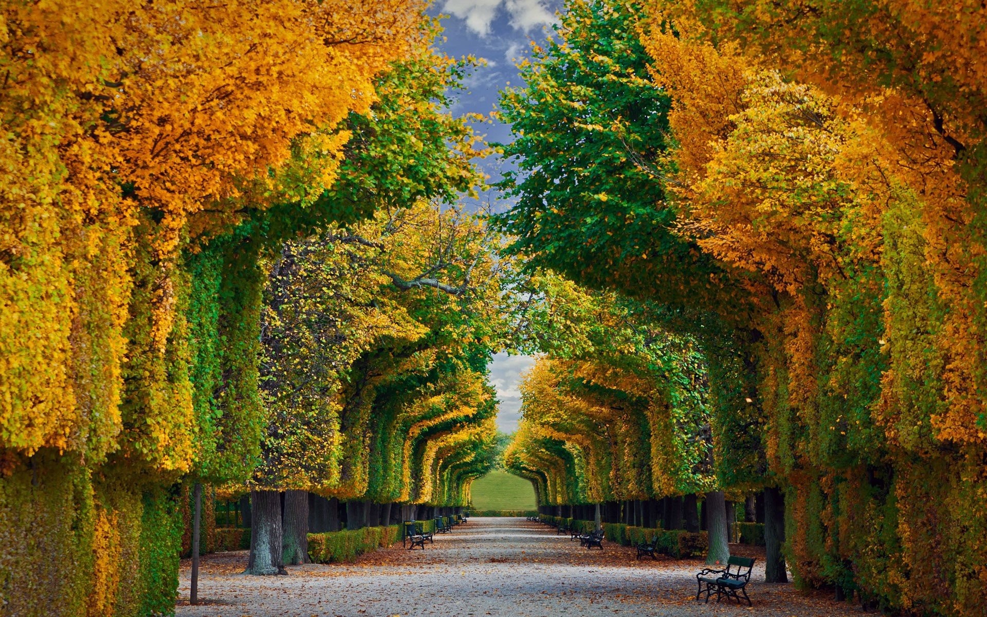 1920x1200 Menschengemacht - Garten Schonbrunn Palace Gardens Baum Herbst Foliage  Vienna Ãsterreich Wallpaper
