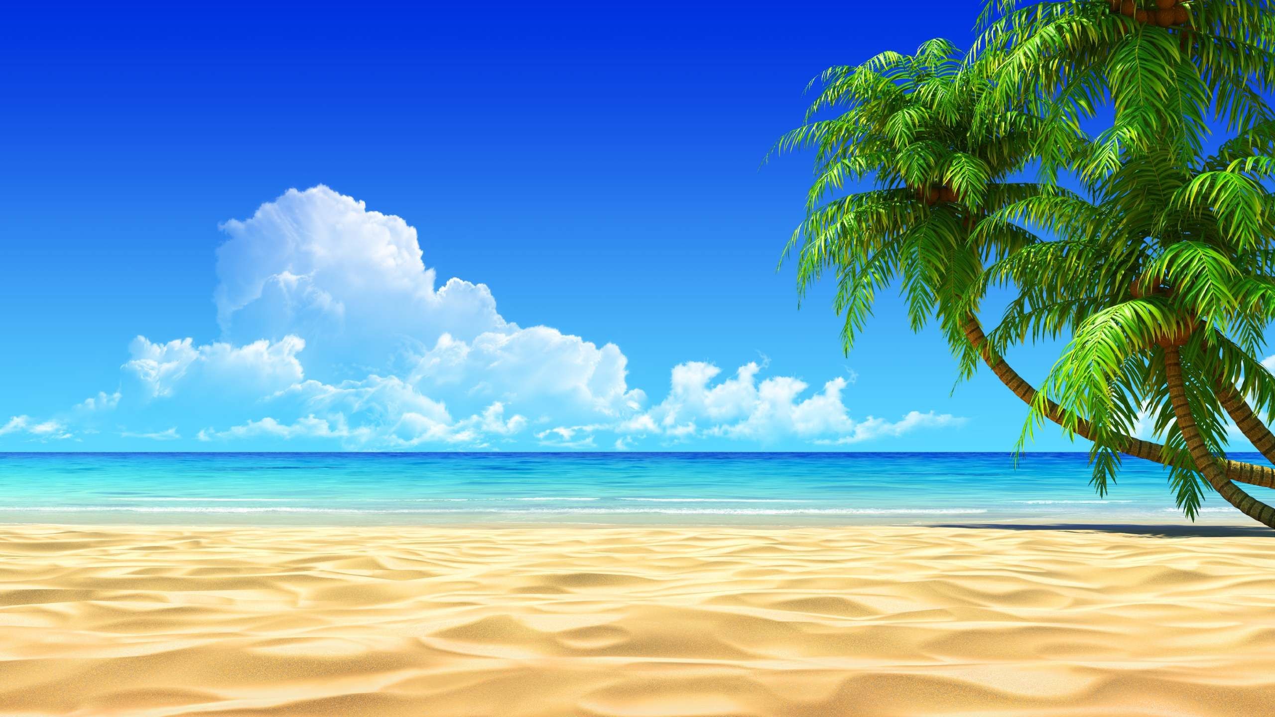 2560x1440 free widescreen wallpaper downloads awesome tropical beach desktop  background hd wallpaper widescreen images free download cool download  wallpaper stock ...